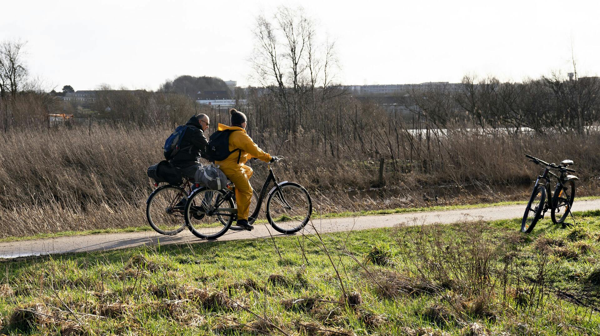 Endelig tørvejr og solskin, her i Østerådalen ved Aalborg, onsdag den 19. februar 2020.. (Foto: Henning Bagger/Ritzau Scanpix)