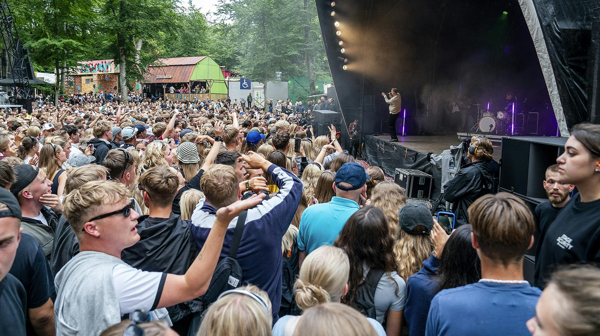 Der bliver endnu en gang fuldt hus i Bøgeskoven til næste år.