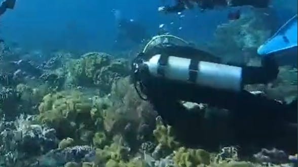 Flere dykkere blev fanget i kraftig strøm forårsaget af et jordskælv.