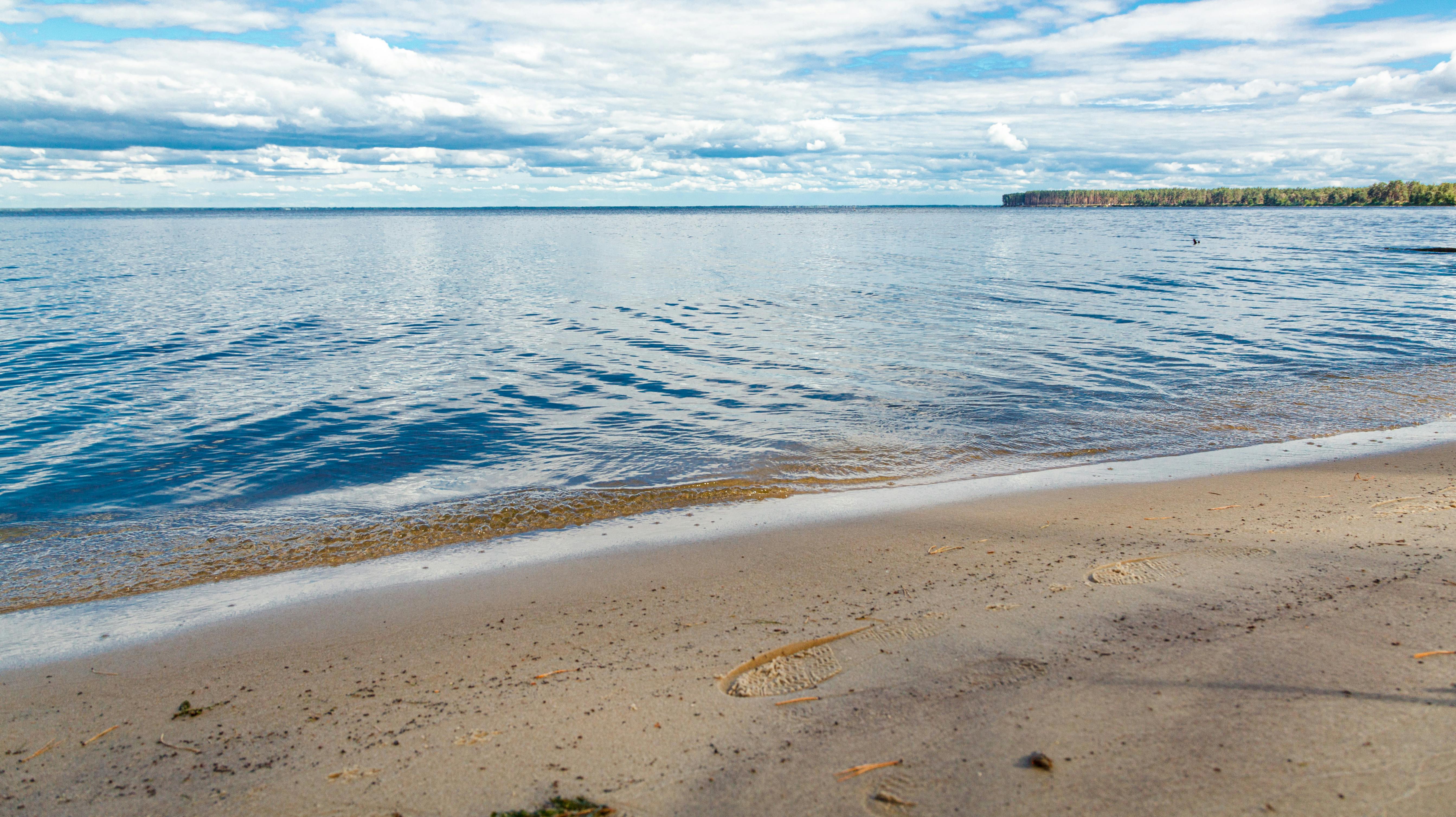 Liget blev fundet ved en strand i Queens.
