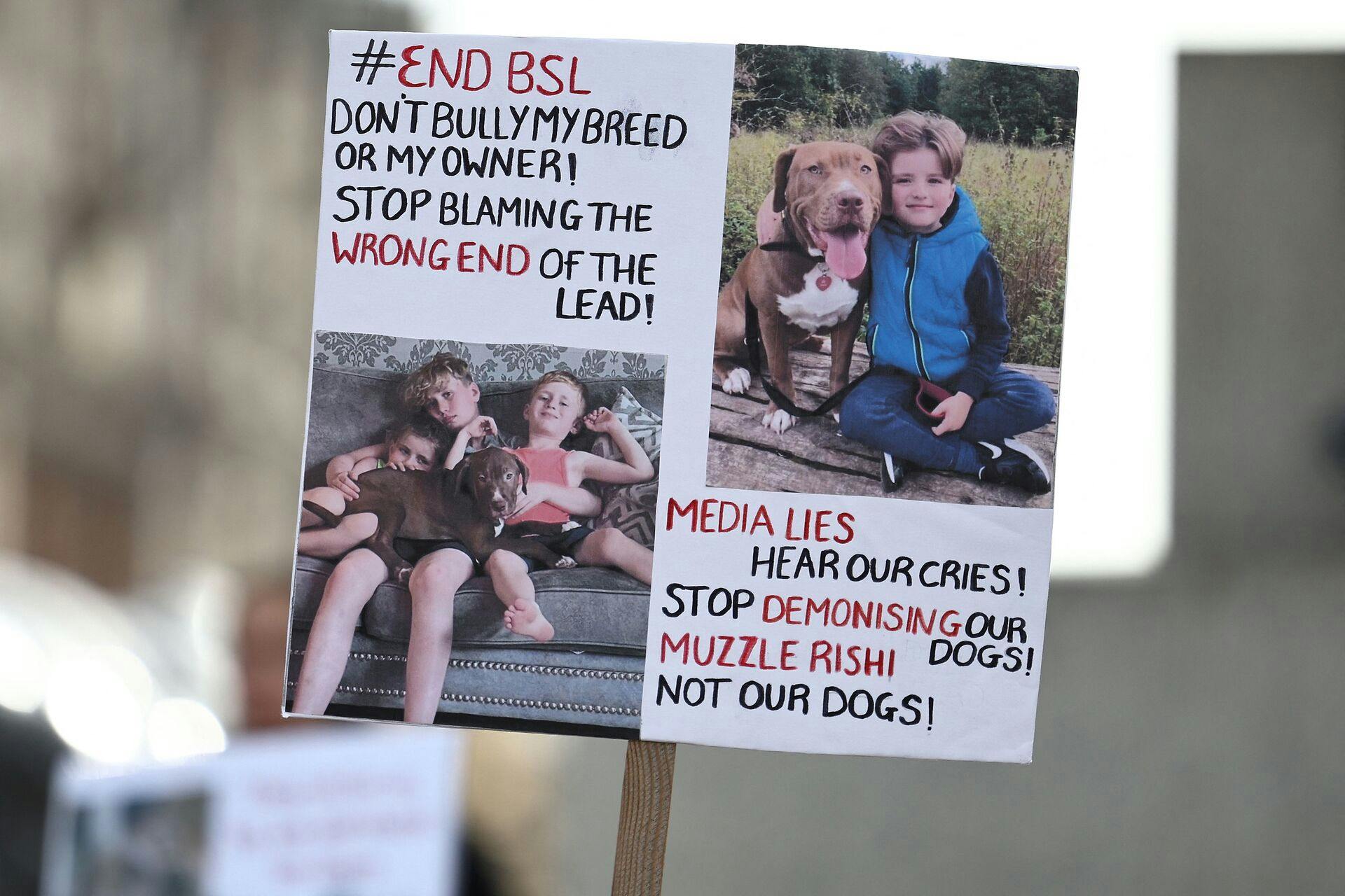 Trods flere alvorlige og i nogle tilfælde dødelige overfald mener flere hundeejere, at XL Bully uden problemer kan leve som en familiehund med tætte kontakter til børn.