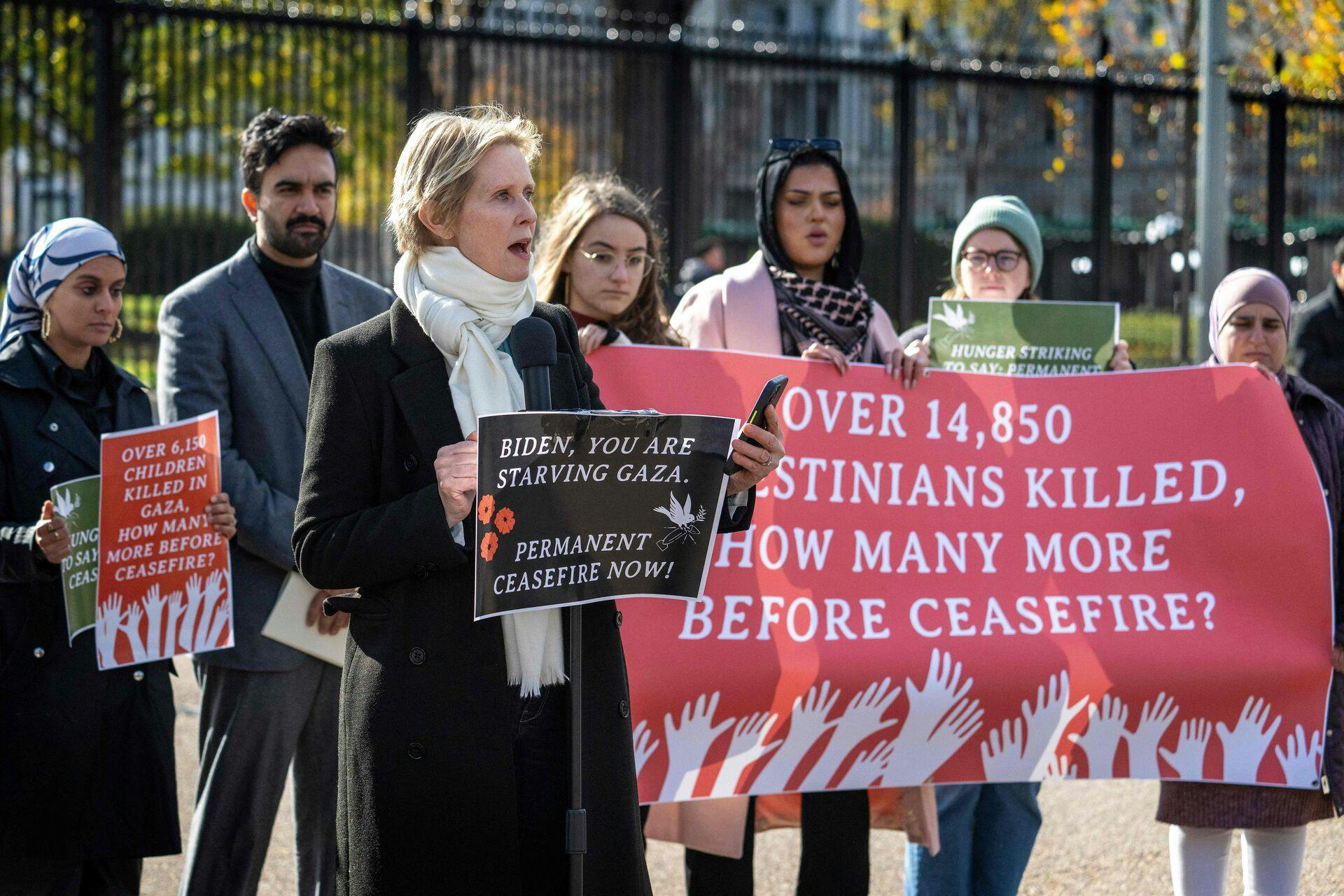 Cynthia Nixon i selskab med en række amerikanske aktivister.