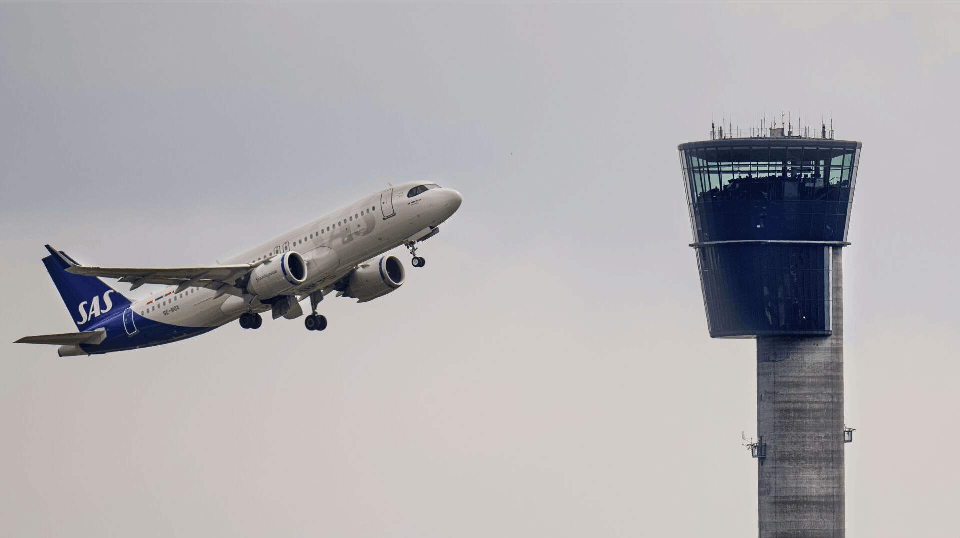 Et stigende antal gæs udgør en risiko for flysikkerheden ved Københavns Lufthavn.