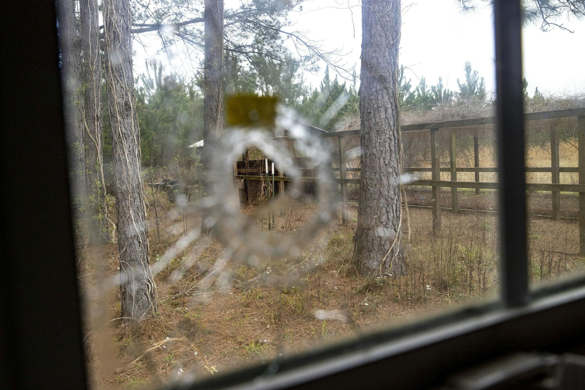 Et skudhul på stedet, hvor advokaten slog sin søn og hustru ihjel.