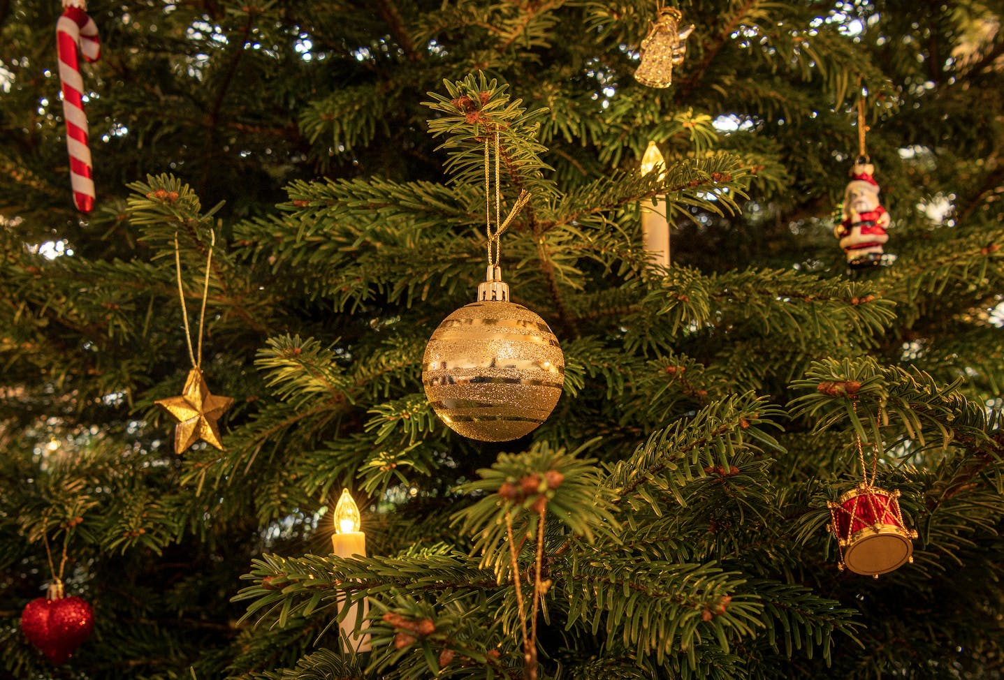 En amerikansk familie gjorde et noget besynderligt fund i deres juletræ. Eller det vil sige: Deres rengøringshjælp gjorde det besynderlige fund.