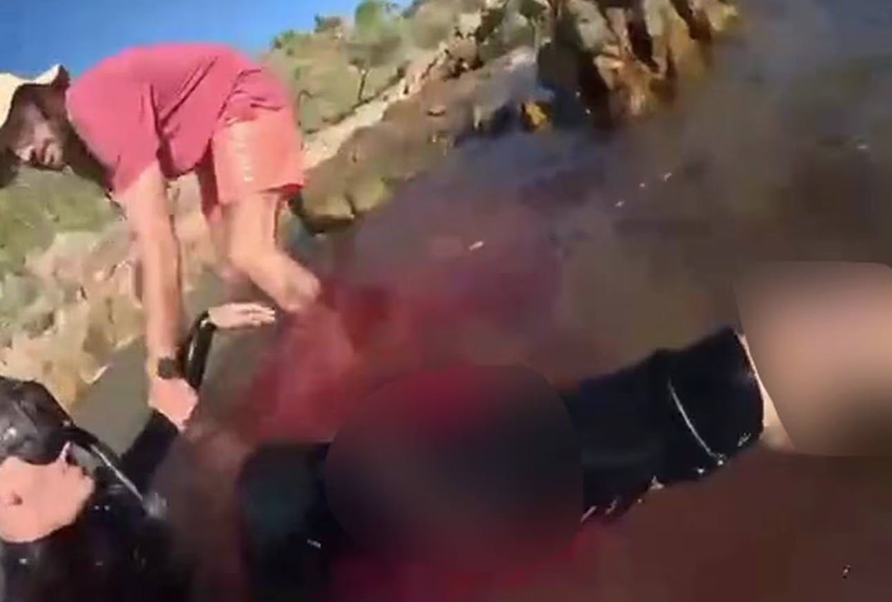 En italiensk turist filmede sekunderne, efter at en stor haj havde skambidt hans ene ben.