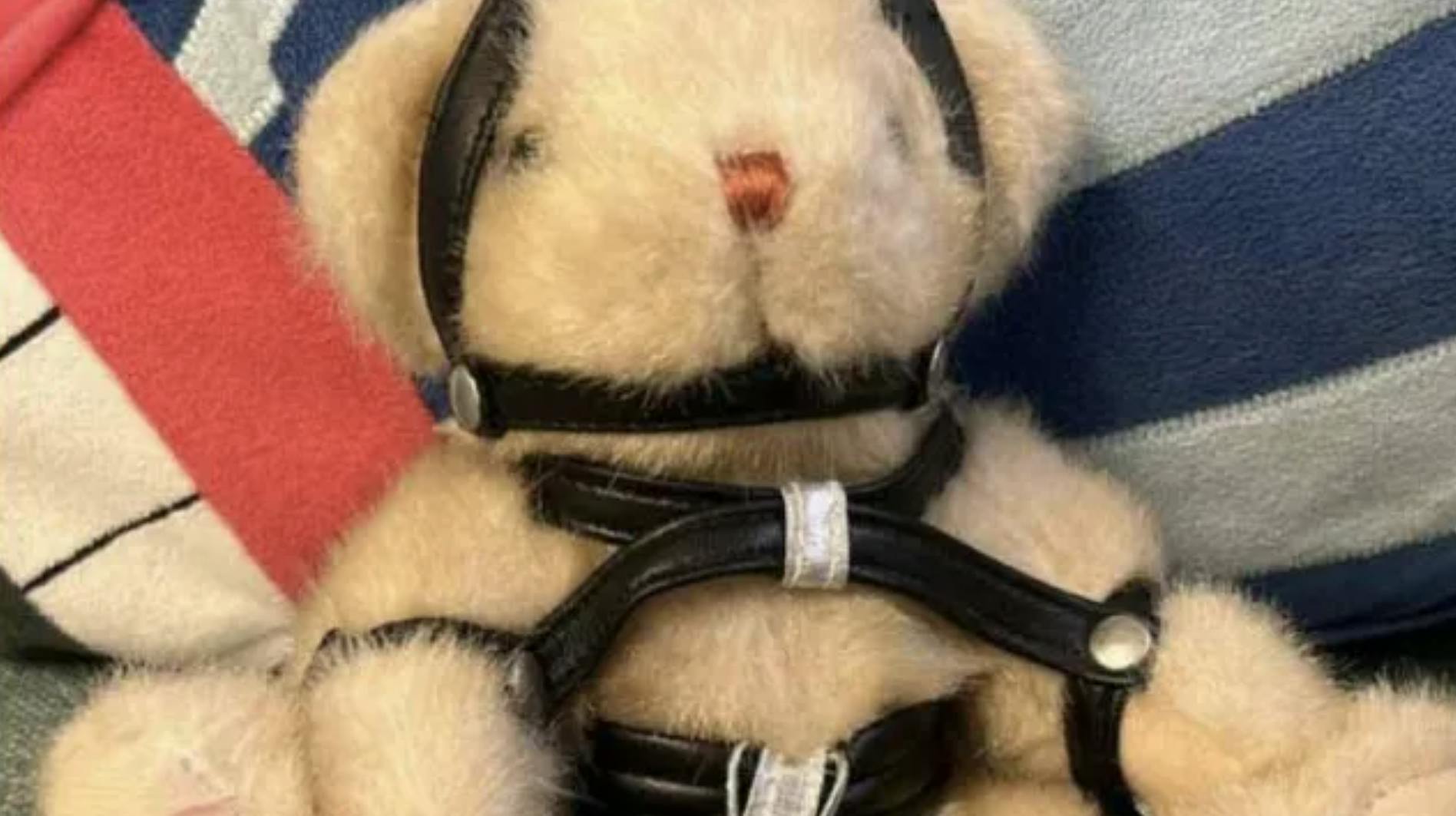 Det var denne frække bamse, som en velgørenhedsorganisation fik foræret. 