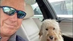 Hunden Maddy fundet død