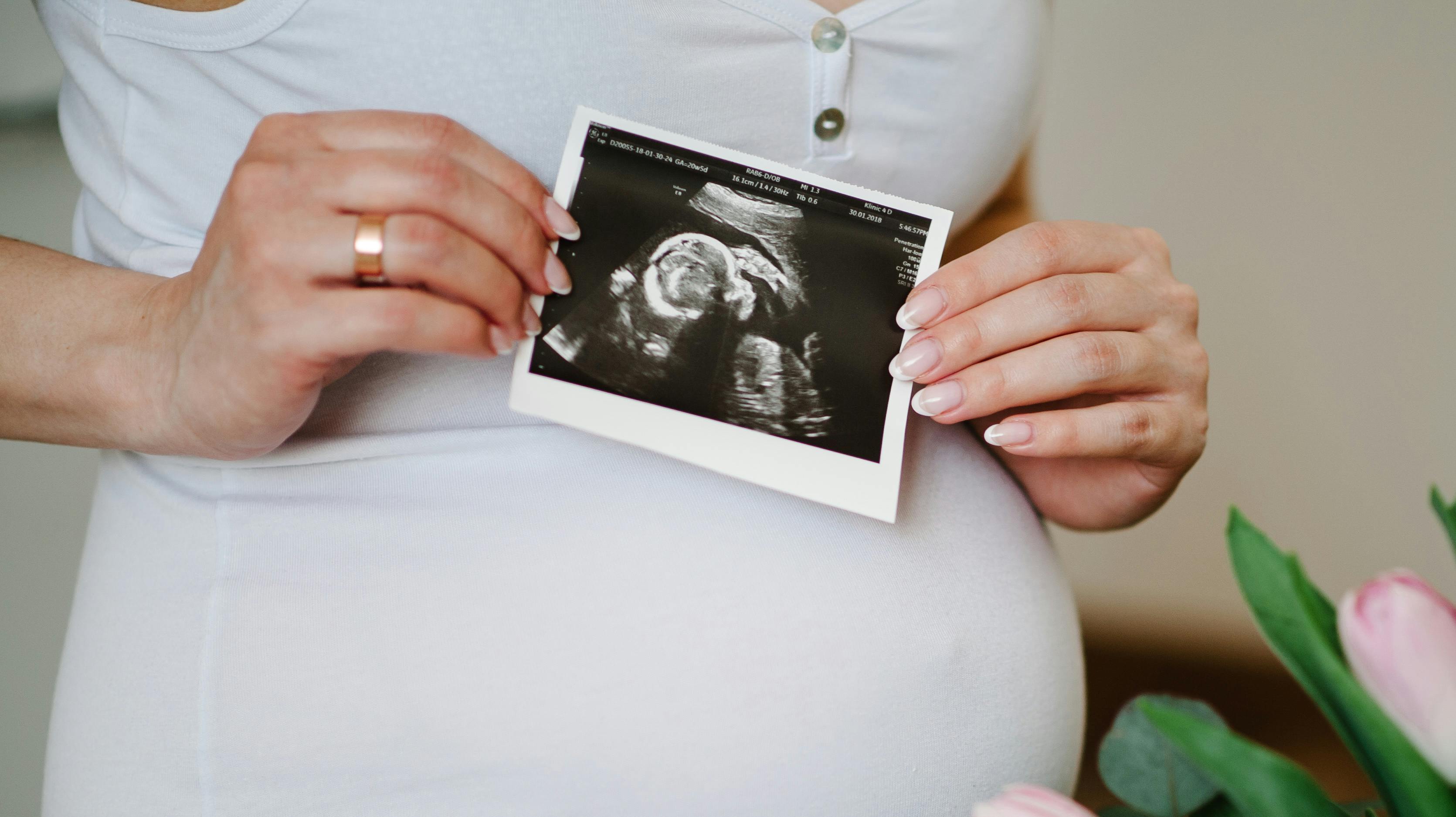 Hovedopgaven for unge italienske kvinder bør være at føde børn, mener den italienske senator Lavinia Mennuni.