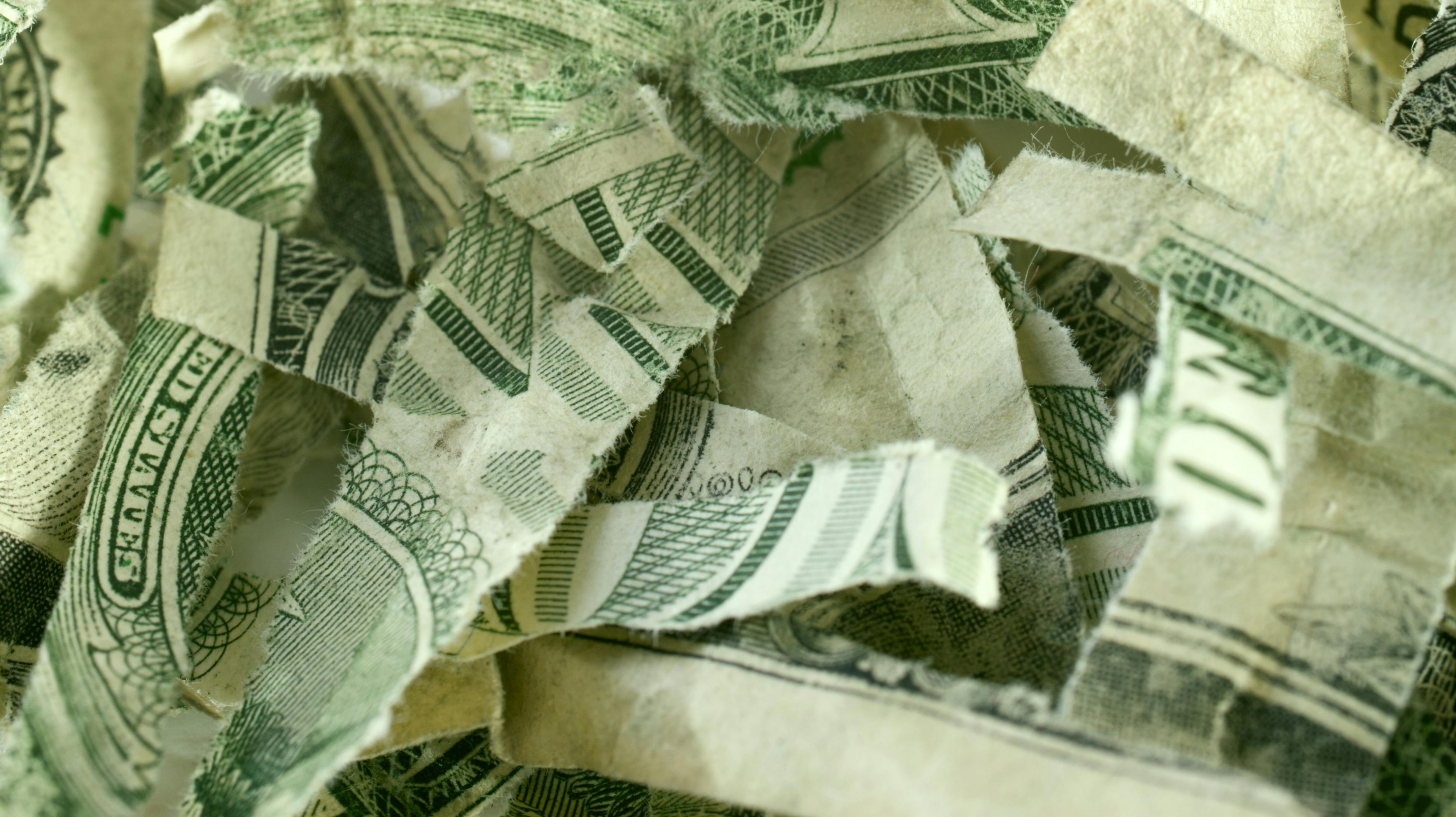 En hund vidste formentlig ikke, hvilken formue den var i gang med at mæske i sig, da den gnaskede løs på et bundt pengesedler.