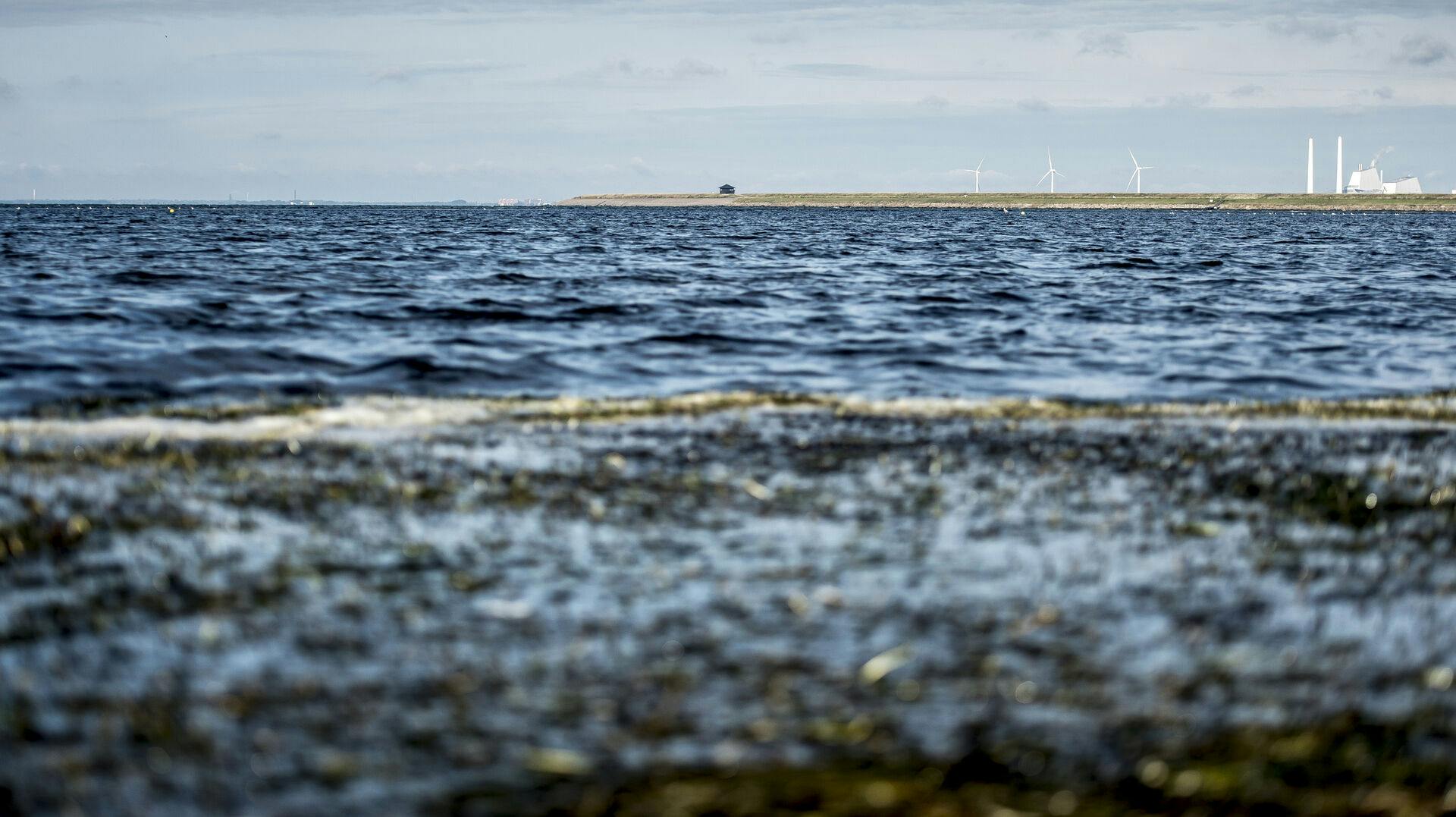 Køge Bugt