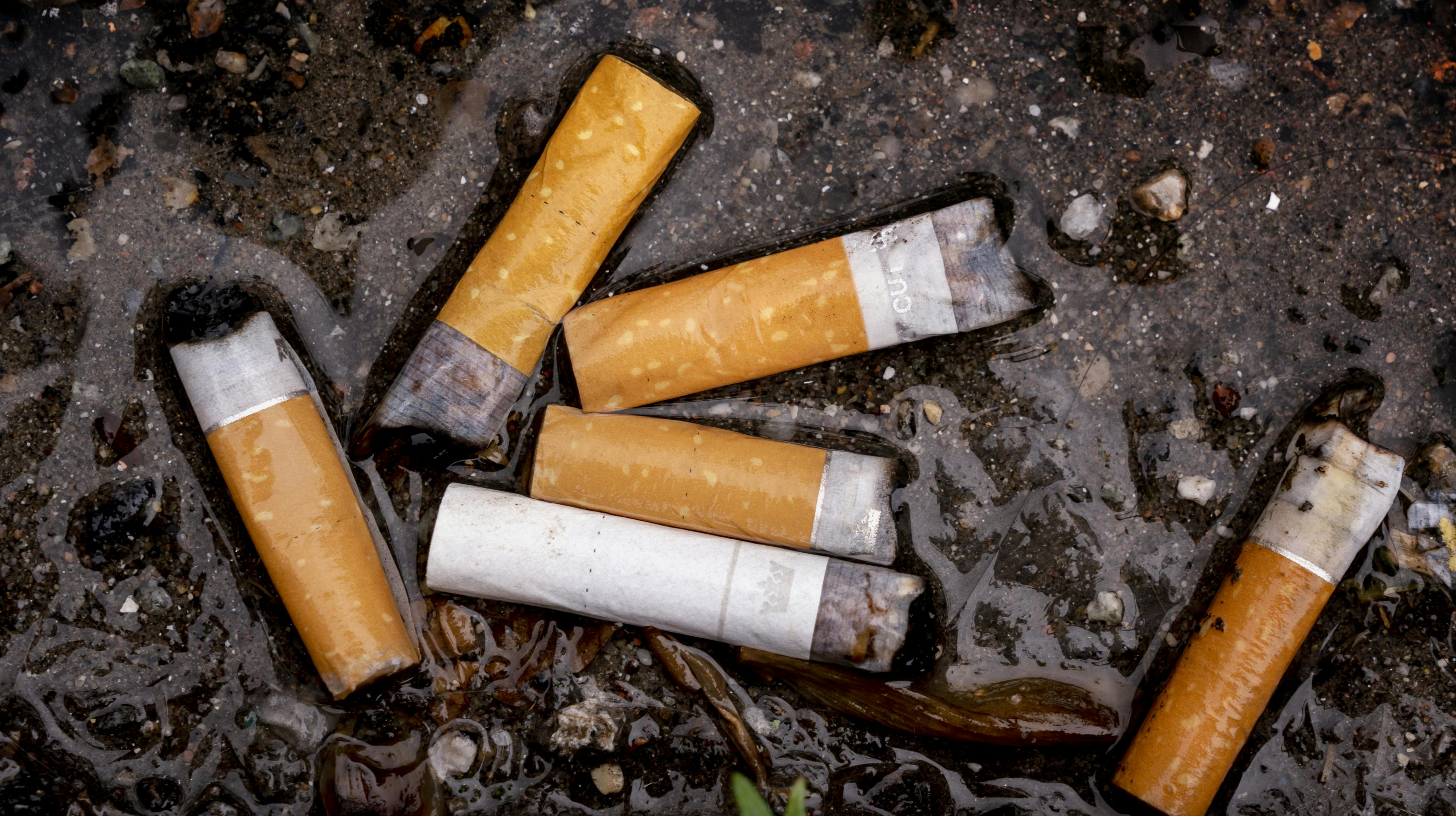 Kvinden, der er 85 år, smed et cigaretskod fra sig på en altan i en lejlighed i Dahlensgade i Gentofte. Skoddet var glødende, og da det landede på en hynde på altanen, opstod der brand.