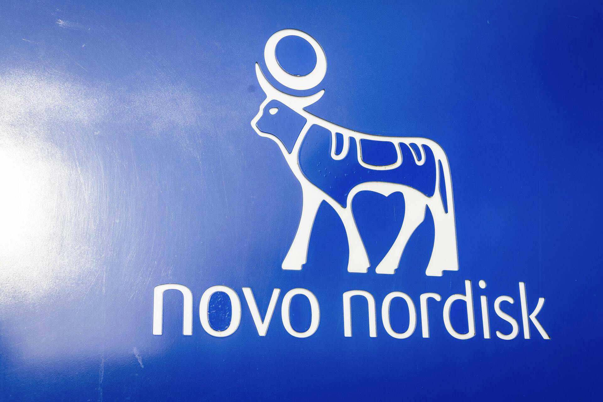 Novo Nordisk A/S produktion i Hillerød mandag den 29. januar 2024. Regnet på markedsværdi er Novo Nordisk Danmarks største virksomhed.. (Foto: Thomas Traasdahl/Ritzau Scanpix)