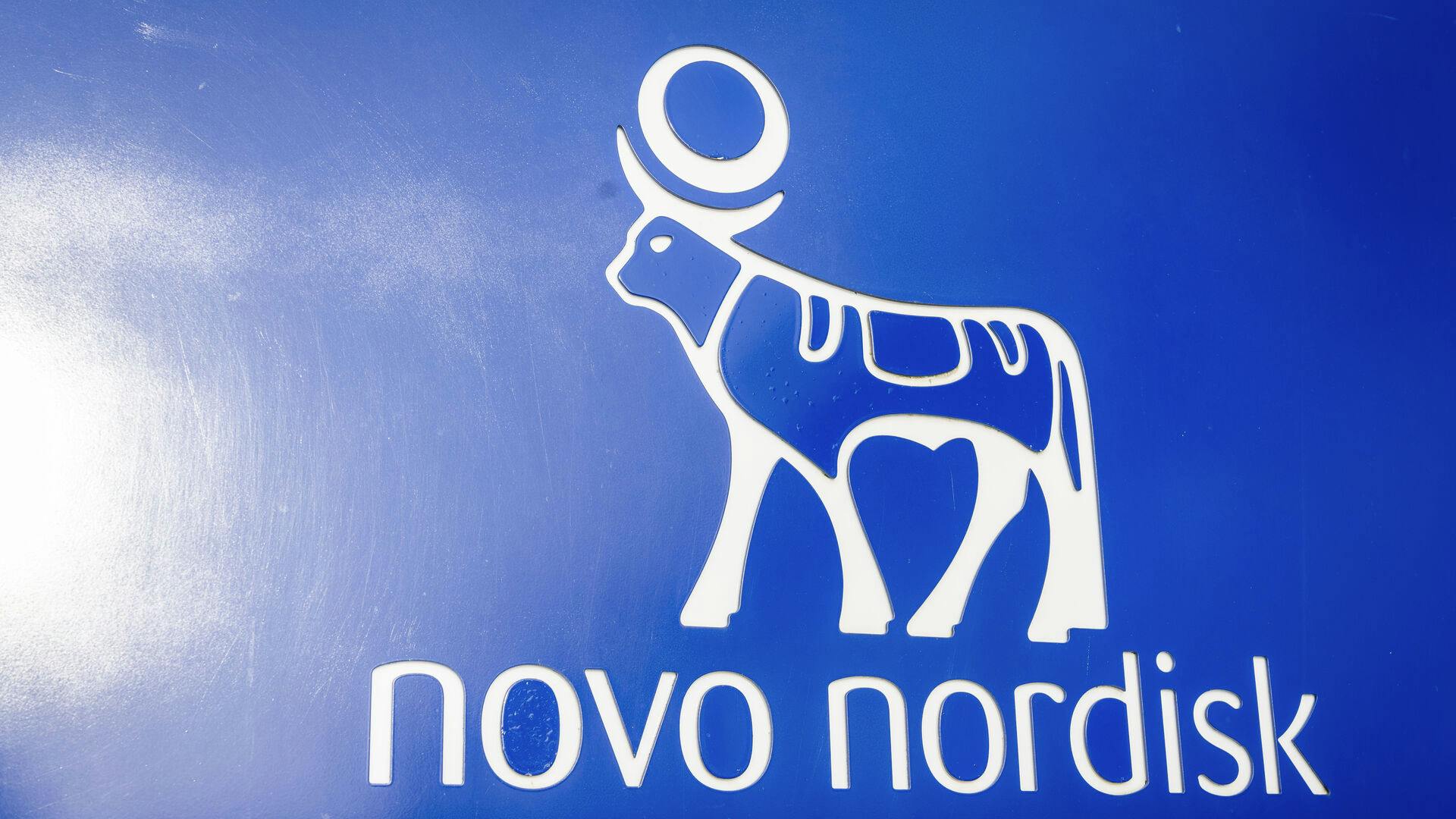 Novo Nordisk A/S produktion i Hillerød mandag den 29. januar 2024. Regnet på markedsværdi er Novo Nordisk Danmarks største virksomhed.. (Foto: Thomas Traasdahl/Ritzau Scanpix)