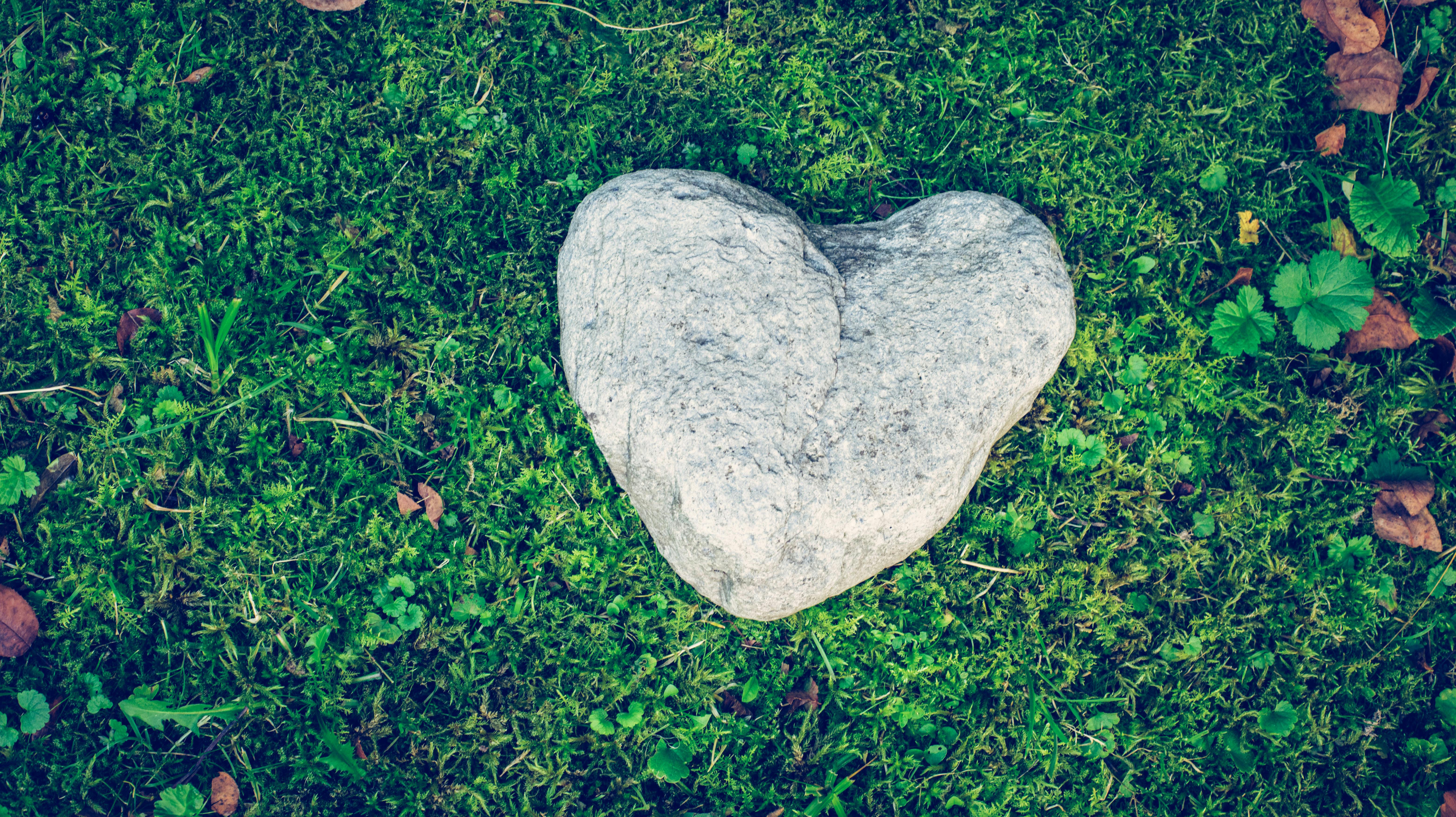 Heart concept: Stone in heart shape is lying on the green grass