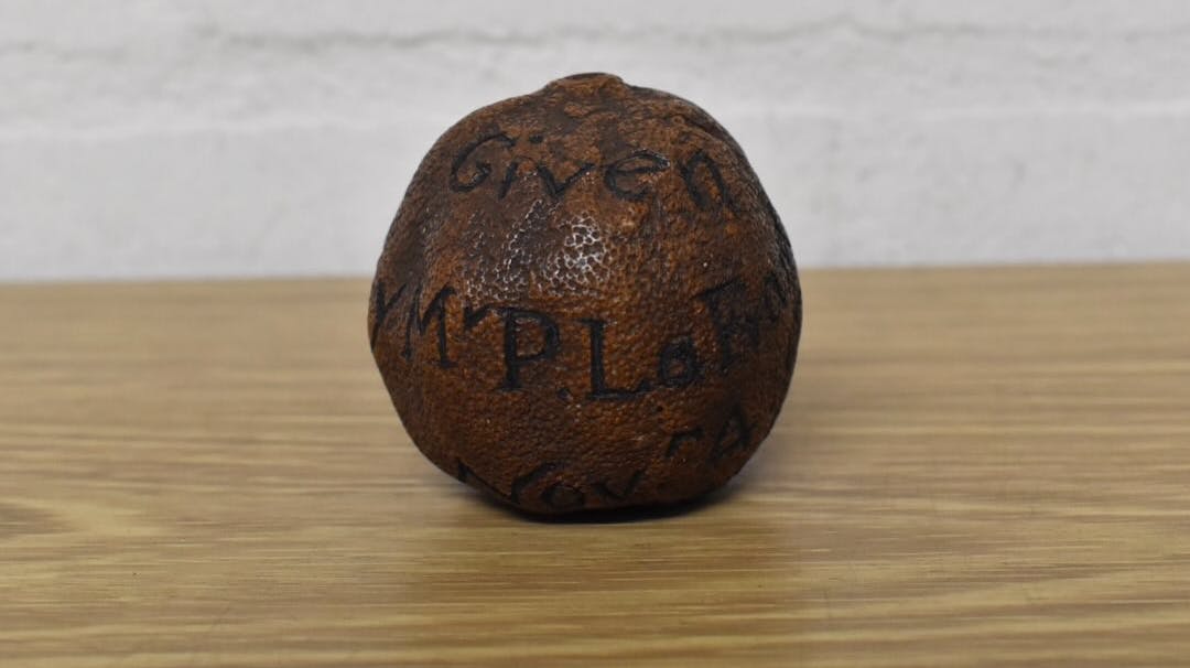 Når livet giver dig citroner.... 