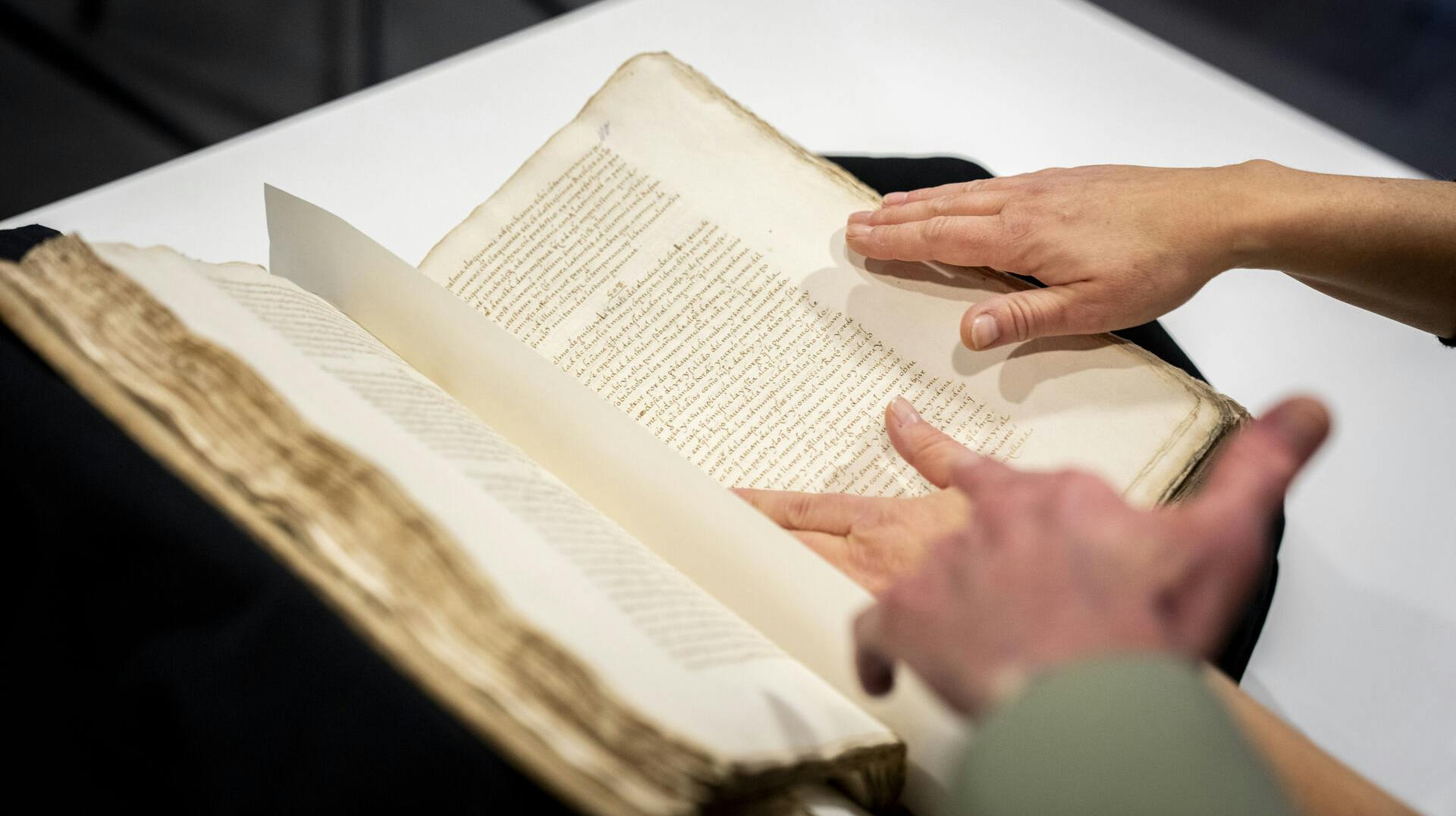 Det perfekte gemmested.