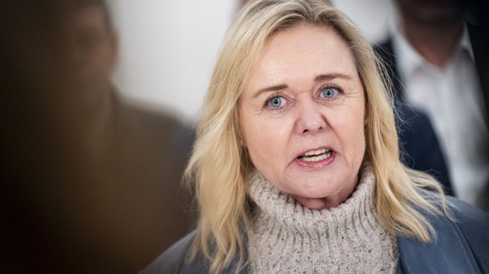 Siden Mona Juul blev valgt for De Konservative i 2019, har hun hurtigt gjort karriere og indtager nu den magtfulde post som gruppeformand, der styrer folketingsgruppen og gruppemøder. 
