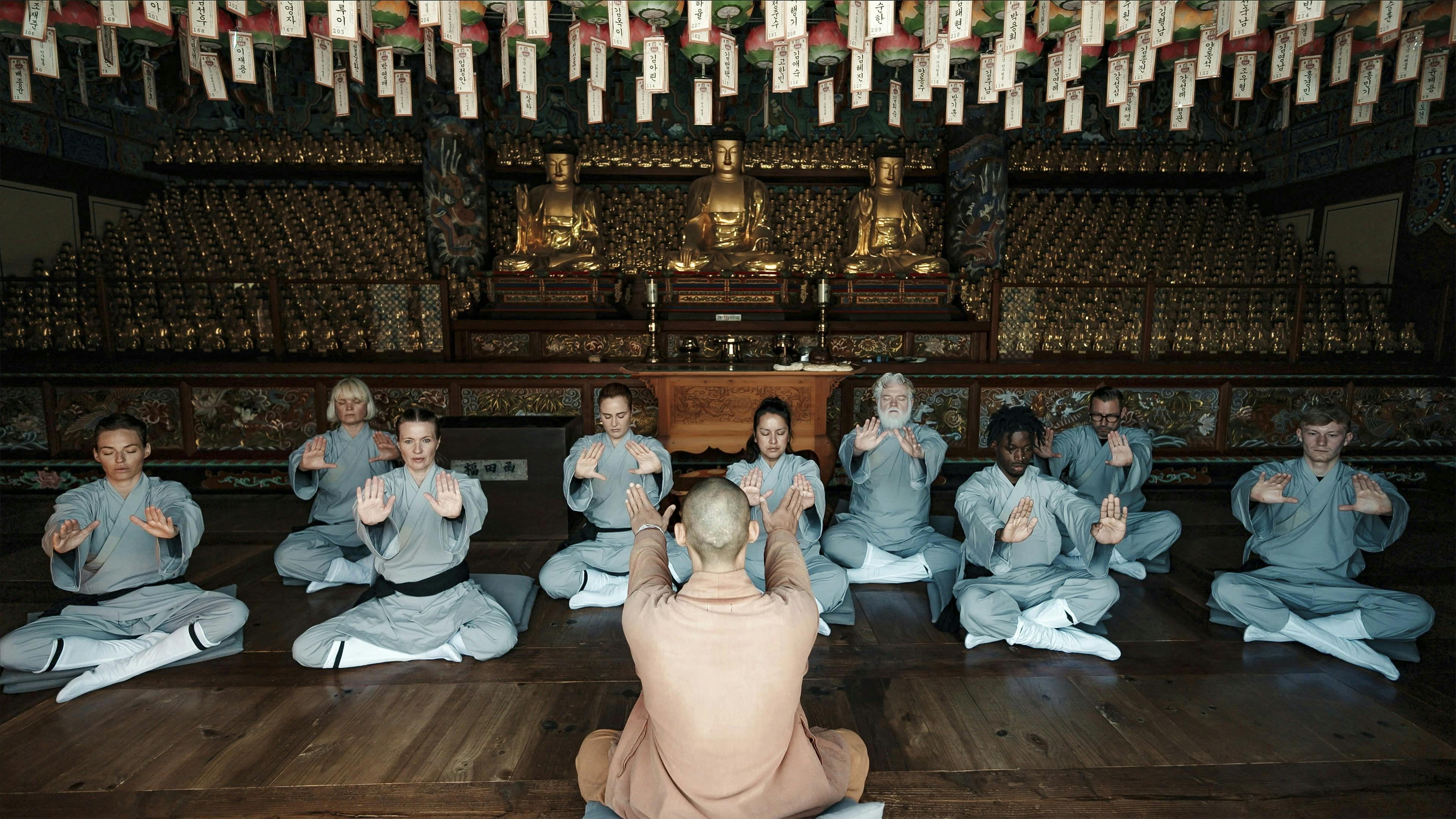 Sarah Grünewald, Sharin Foo, Anne Sofie Espersen, Sarah Bro, Geeti Amiri, Esben Dalgaard, Rico Coker, Adam Duvå Hall og Albert Rosin Harson sammen med master Shi Heng-Yi i 'Shaolin'.