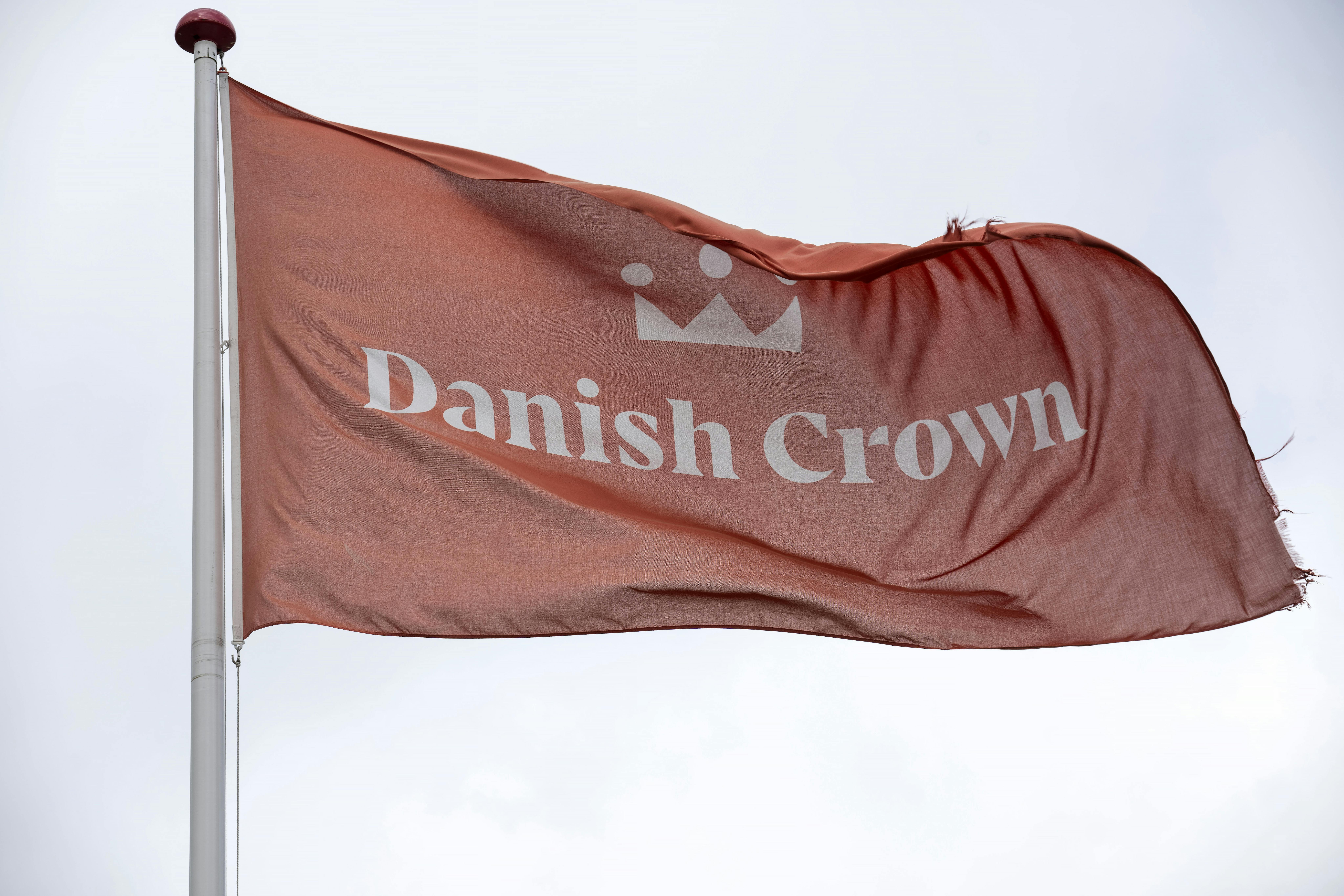 Det gik ikke, at Danish Crown førte sig frem med "Klimakontrolleret gris".