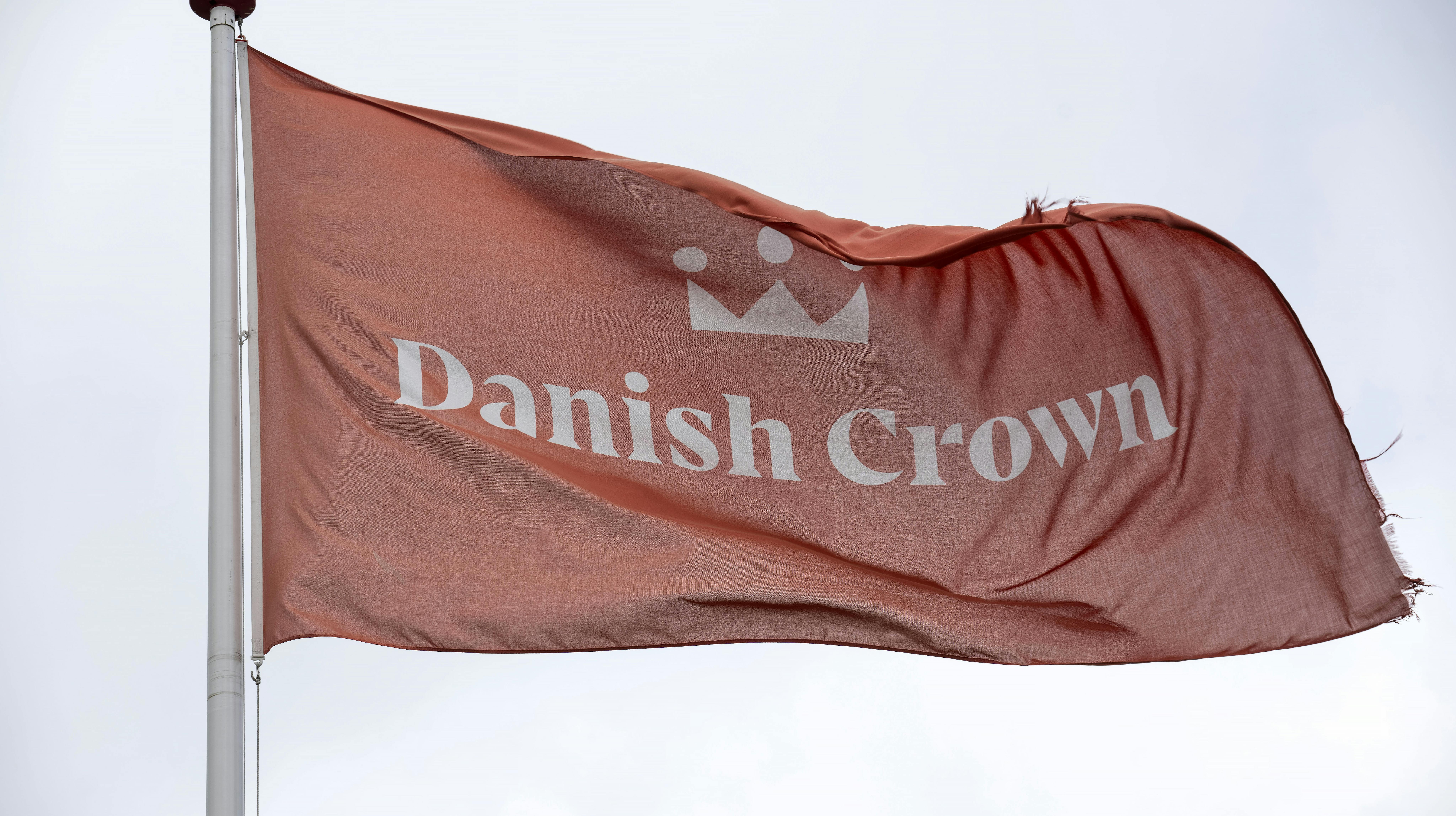 Det gik ikke, at Danish Crown førte sig frem med "Klimakontrolleret gris".