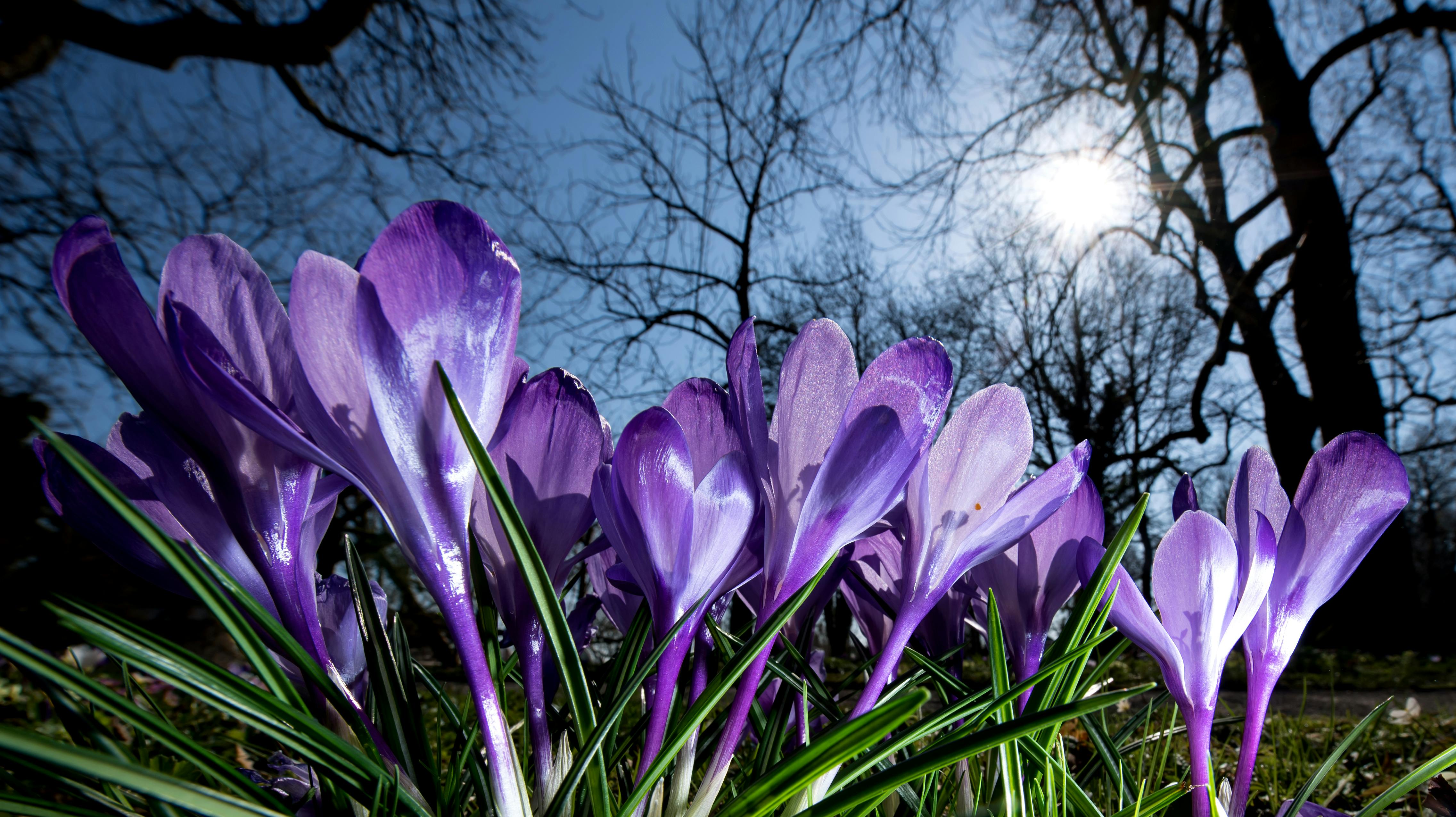 Ser man mod næste uge, bliver vejret en smule mere kedeligt, og nattefrosten kan vende tilbage, lyder det fra vagthavende meteorolog ved Danmarks Meteorologiske Institut (DMI), Andy Ahumada. (Arkivfoto).
