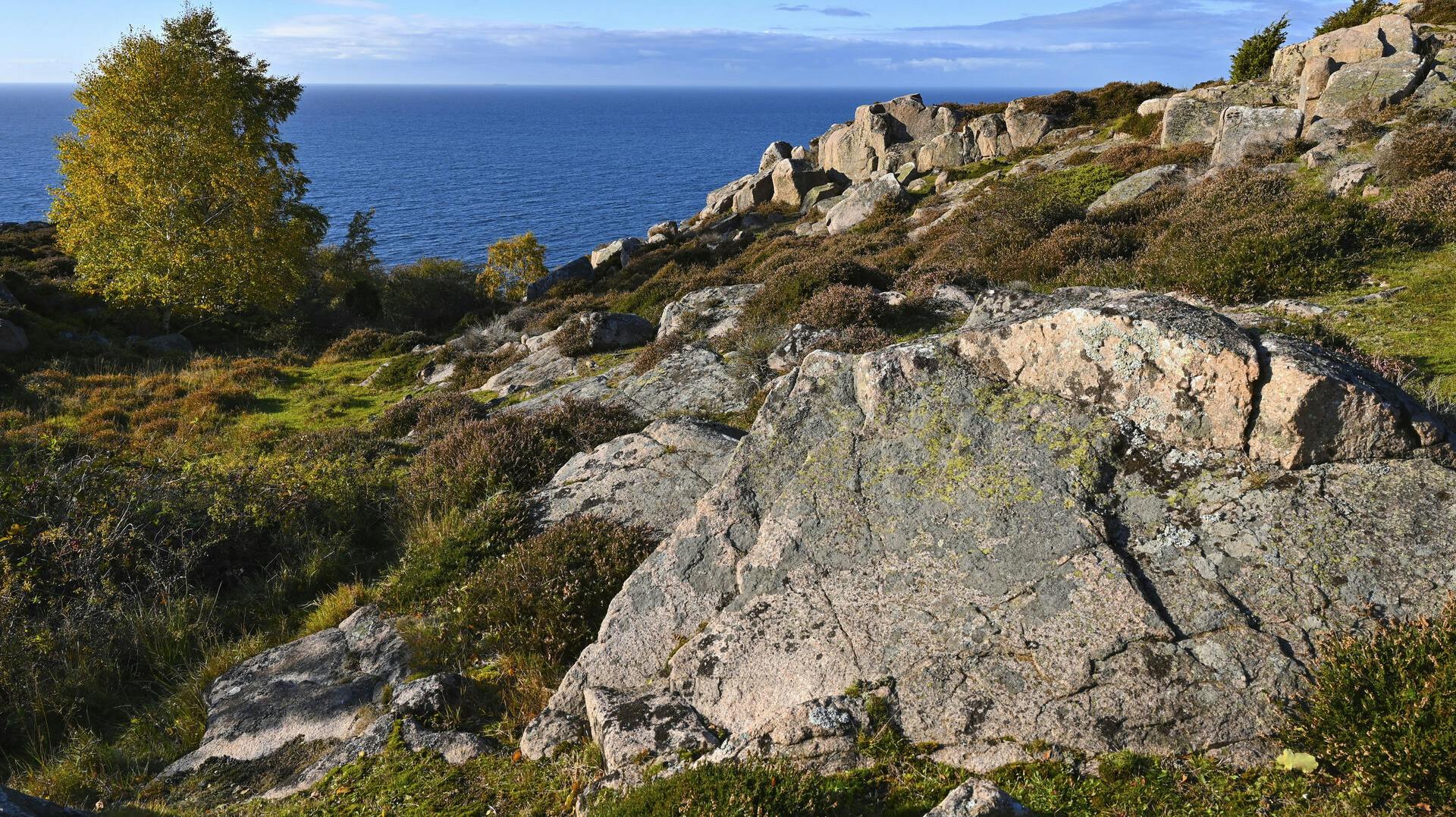 To kvinder blev søndag udsat for en masturberende blotter. Politiet beder om offentlighedens hjælp.