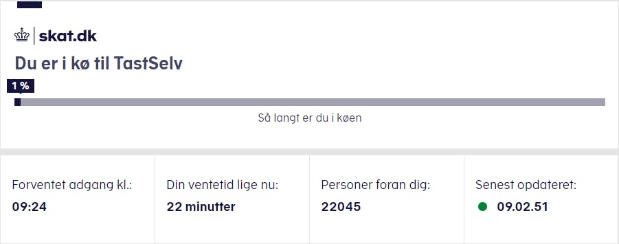 Mange, mange, mange i kø.