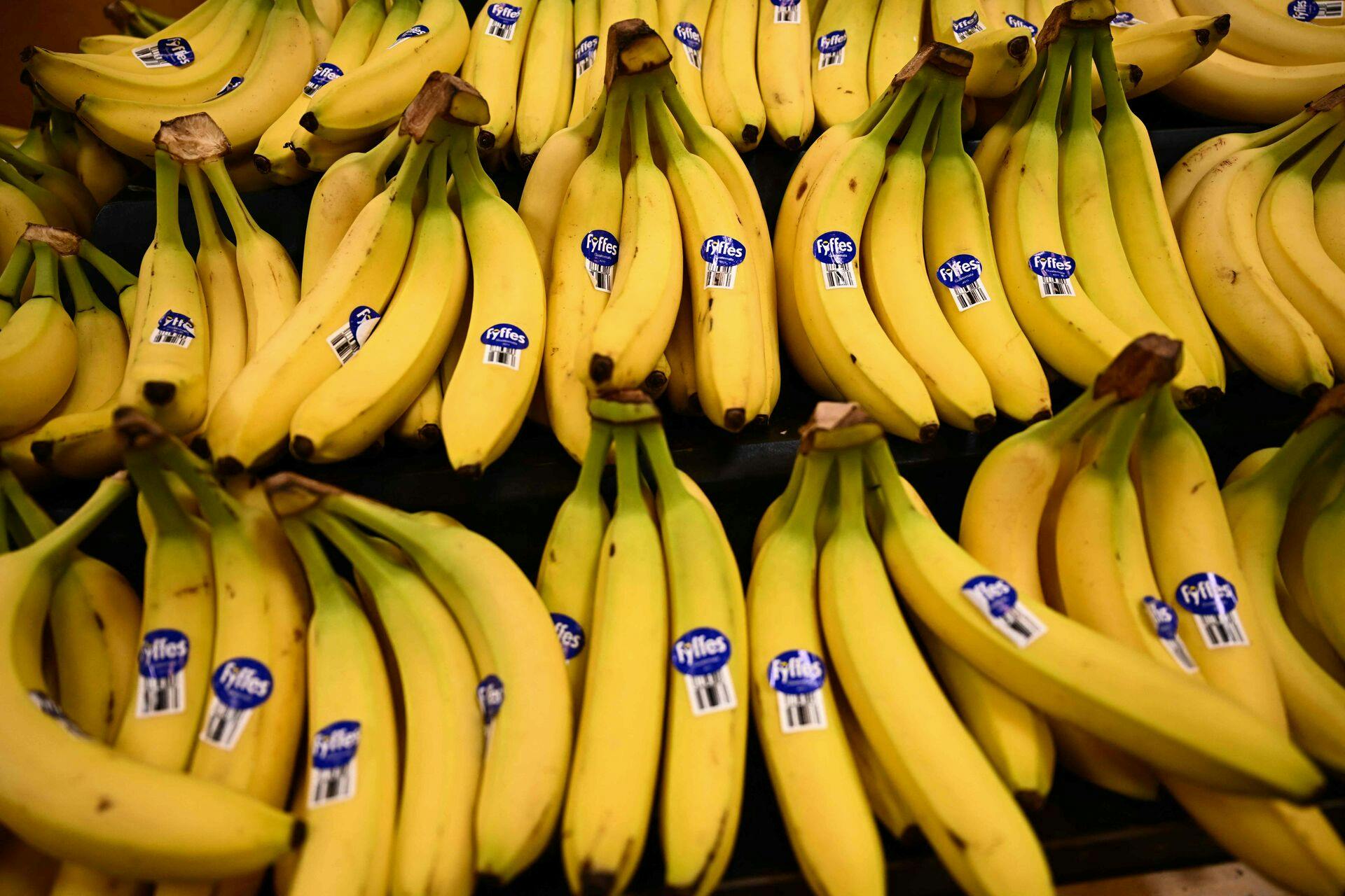Synes du allerede, at bananer er for dyre? Det kan snart blive meget værre.