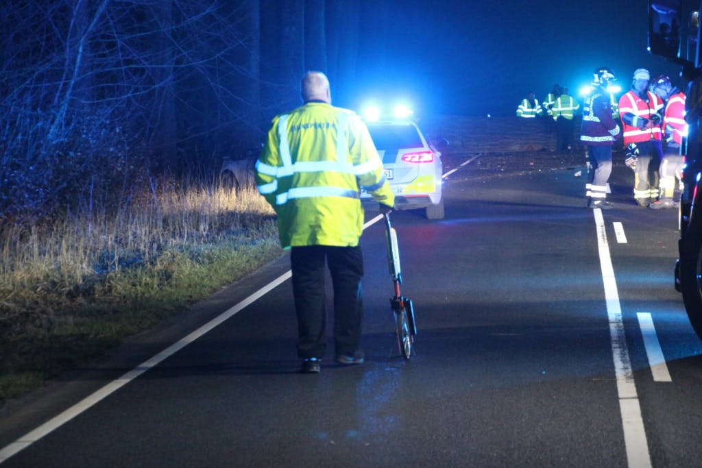 En 55-årig mand mistede livet, efter et træ faldt ned i hans bil. Nu er fire anholdt og sigtet for drab.