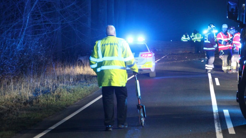 En 55-årig mand mistede livet, efter et træ faldt ned i hans bil. Nu er fire anholdt og sigtet for drab.