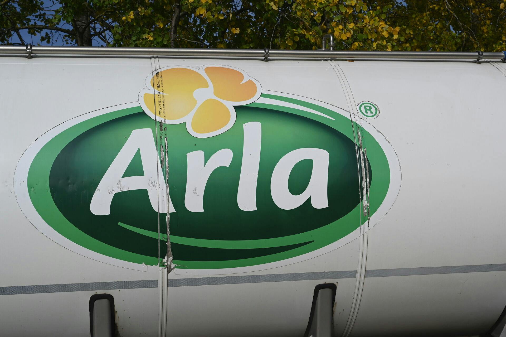 Arla blev grundlagt i år 2000.