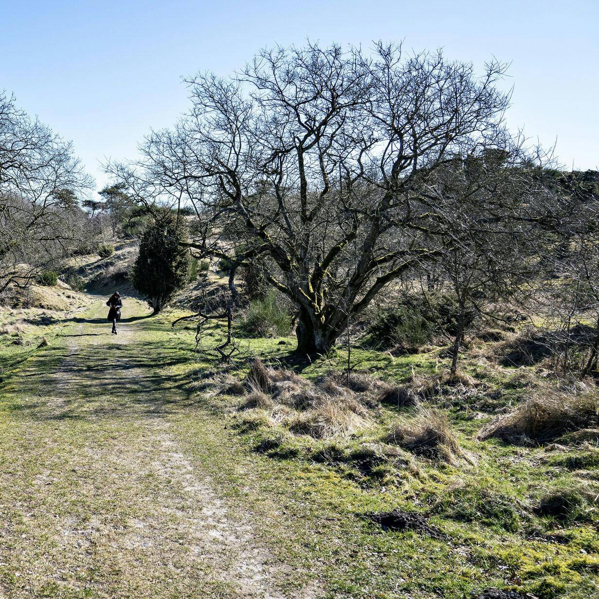 God plads i naturen ved Poulstrup Sø området nær Aalborg, søndag den 22. marts 2020. På grund af COVID-19 er befolkningen blevet bedt om så vidt muligt at holde sig indendørs og udendørs aktiviteter i det flotte forårsvejr skal foregå med god afstand. (Foto: Henning Bagger/Scanpix 2020)