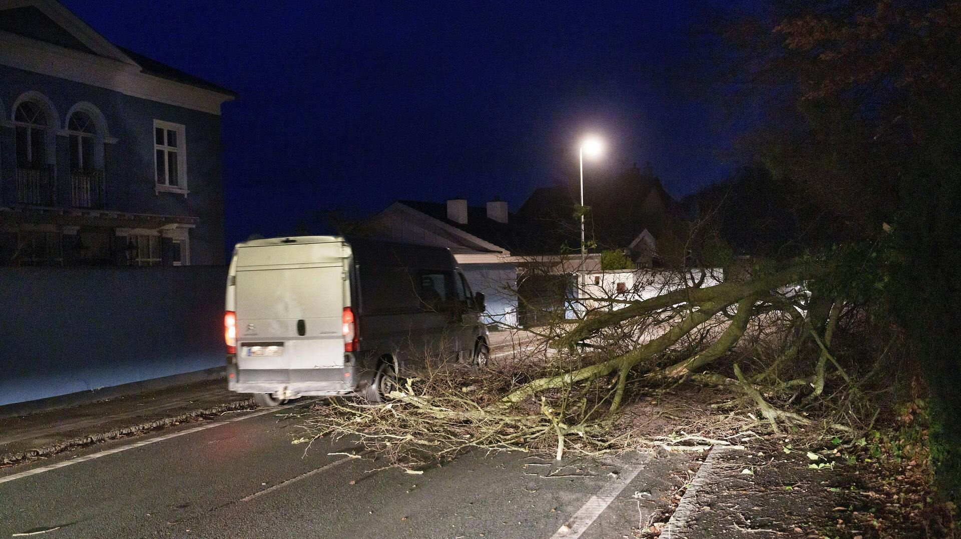 Norsk politi har indledt en efterforskning, efter flere tilfælde af væltede træer, som har spærret en vej nær byen Florø. (Arkivfoto)