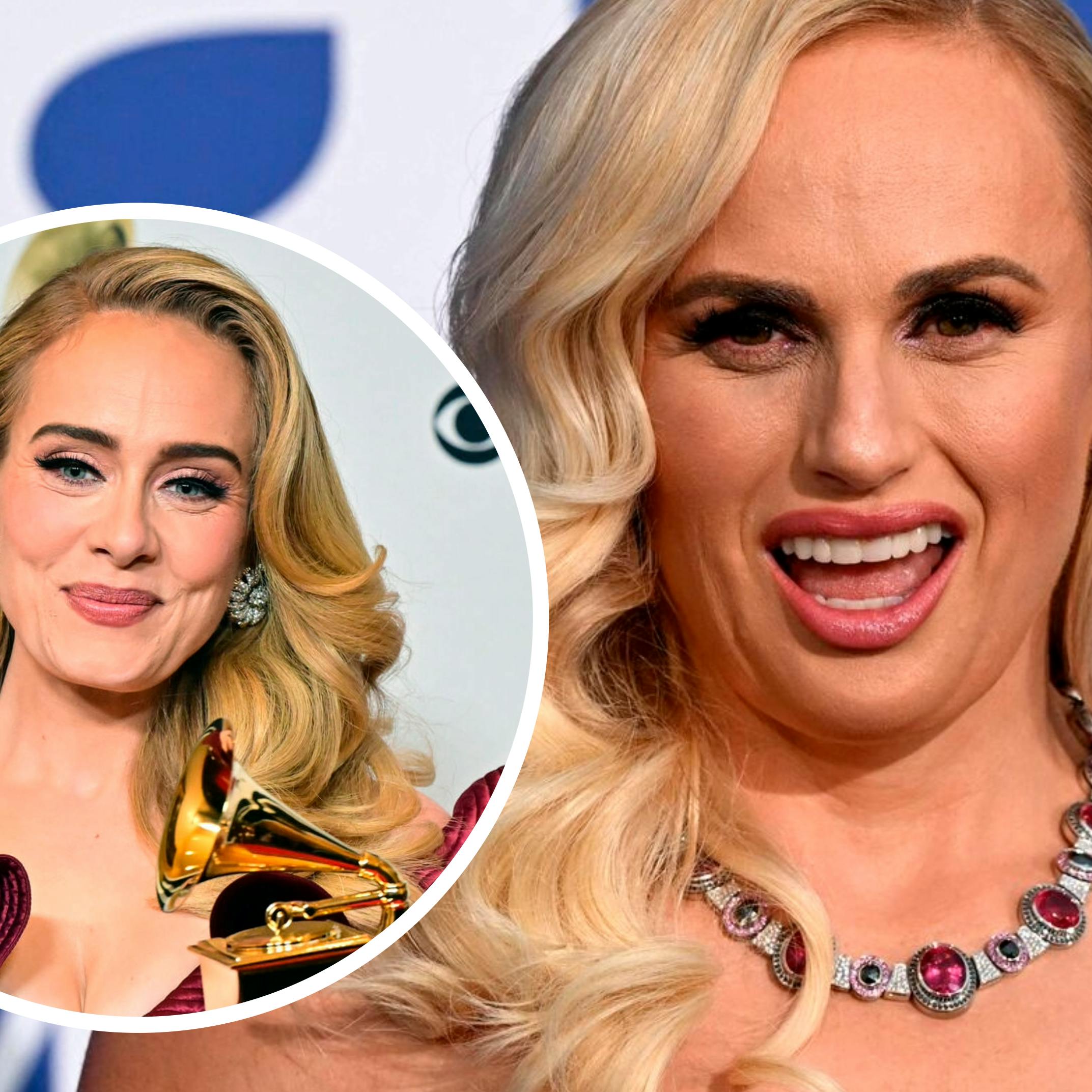 Adele er åbenbart ikke den største fan af Rebel Wilson.