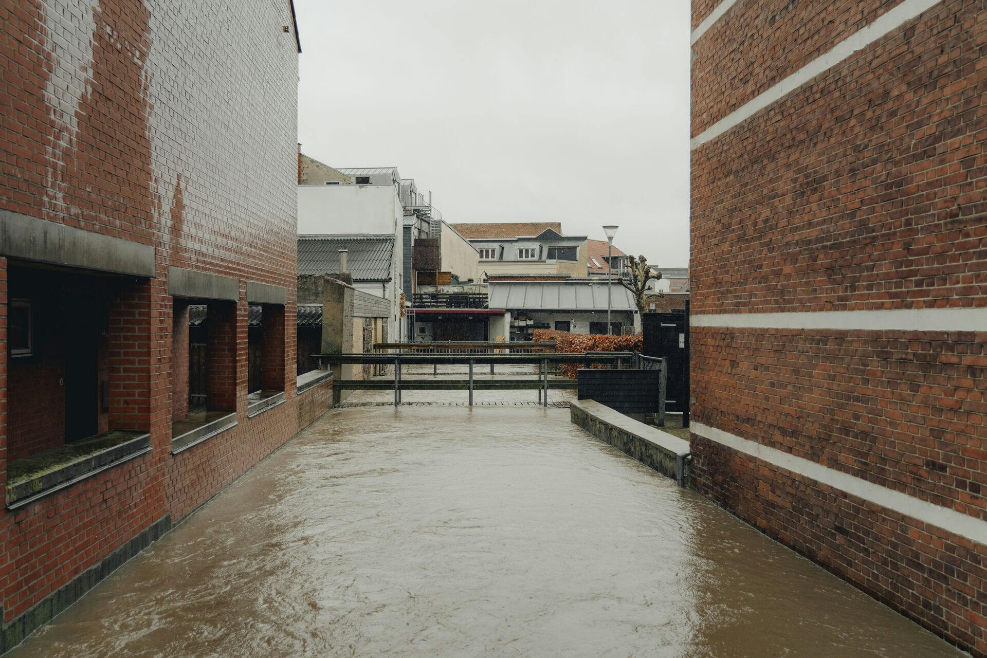 Kloakerne kan få svært ved at følge med, hvis der kommer megen regn på kort tid. Her er vi dog tilbage i februar, hvor blandt andet Vejle blev hårdt ramt.