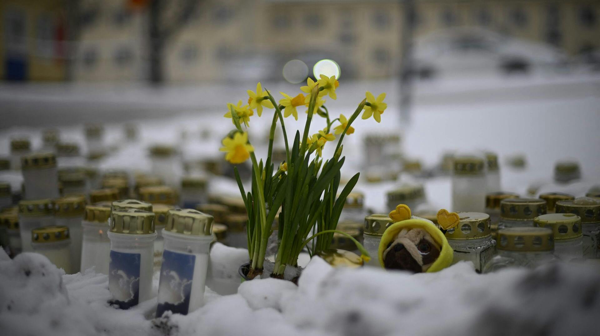 Motivet bag skoleskyderiet i Finland var mobning.