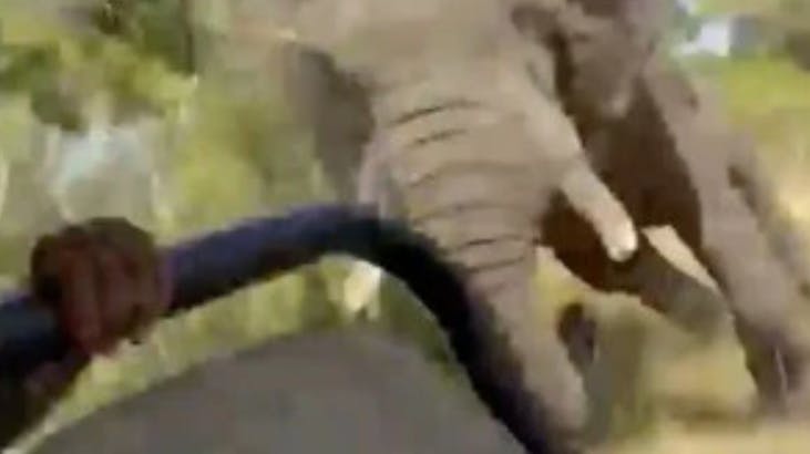 En 80-årig kvinde har mistet livet, efter at en elefant gik amok. 