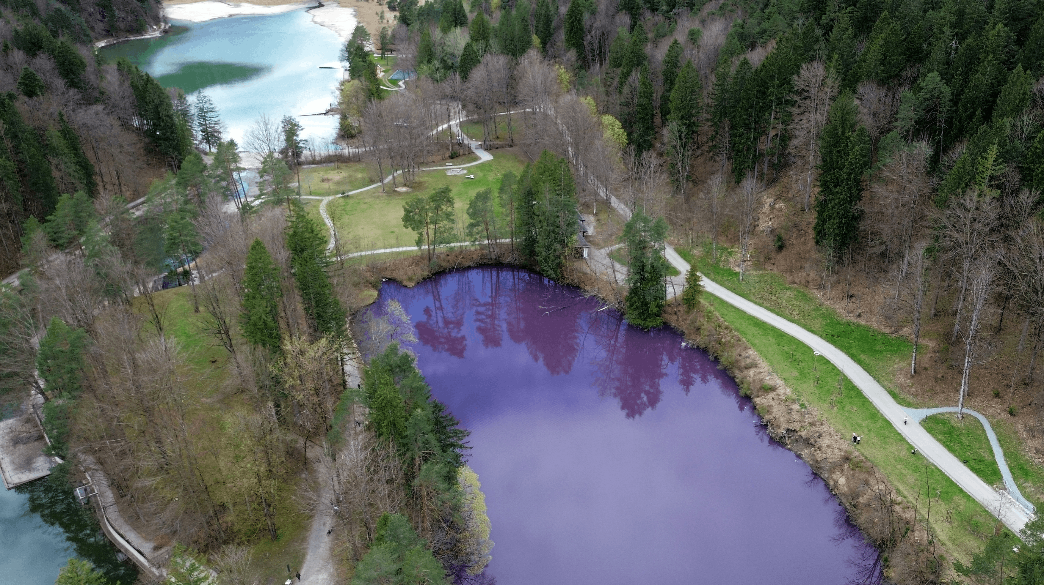 Allgäu-søen i Tyskland har fået en farve, som vand normalt ikke har.