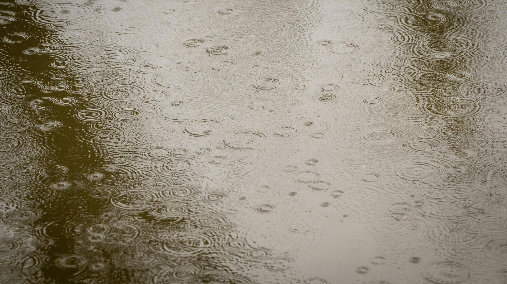 Har vi ikke snart fået nok?