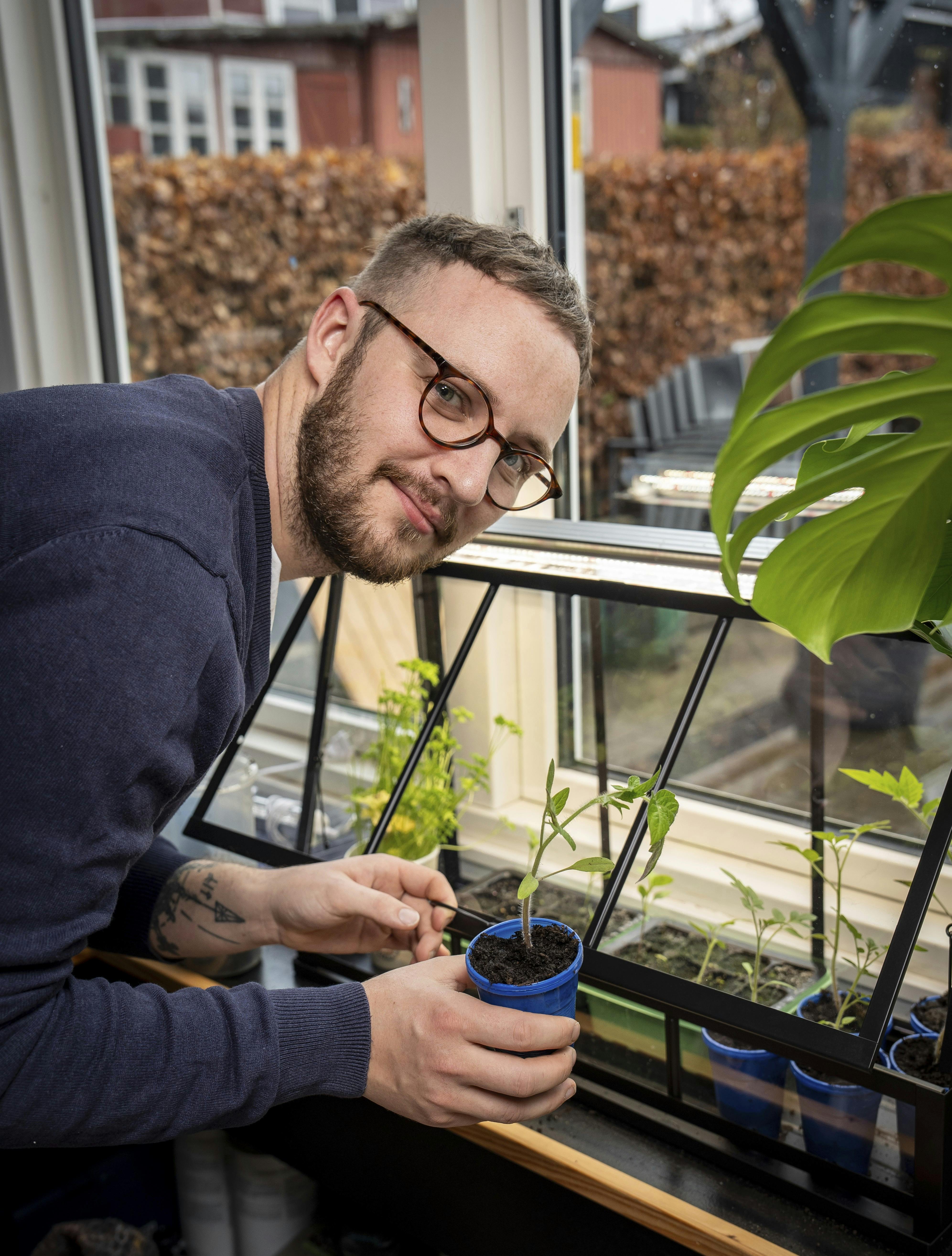 ”Kærlighed hvor kragerne vender”-deltageren er i gang med at forspire planter til drivhuset.