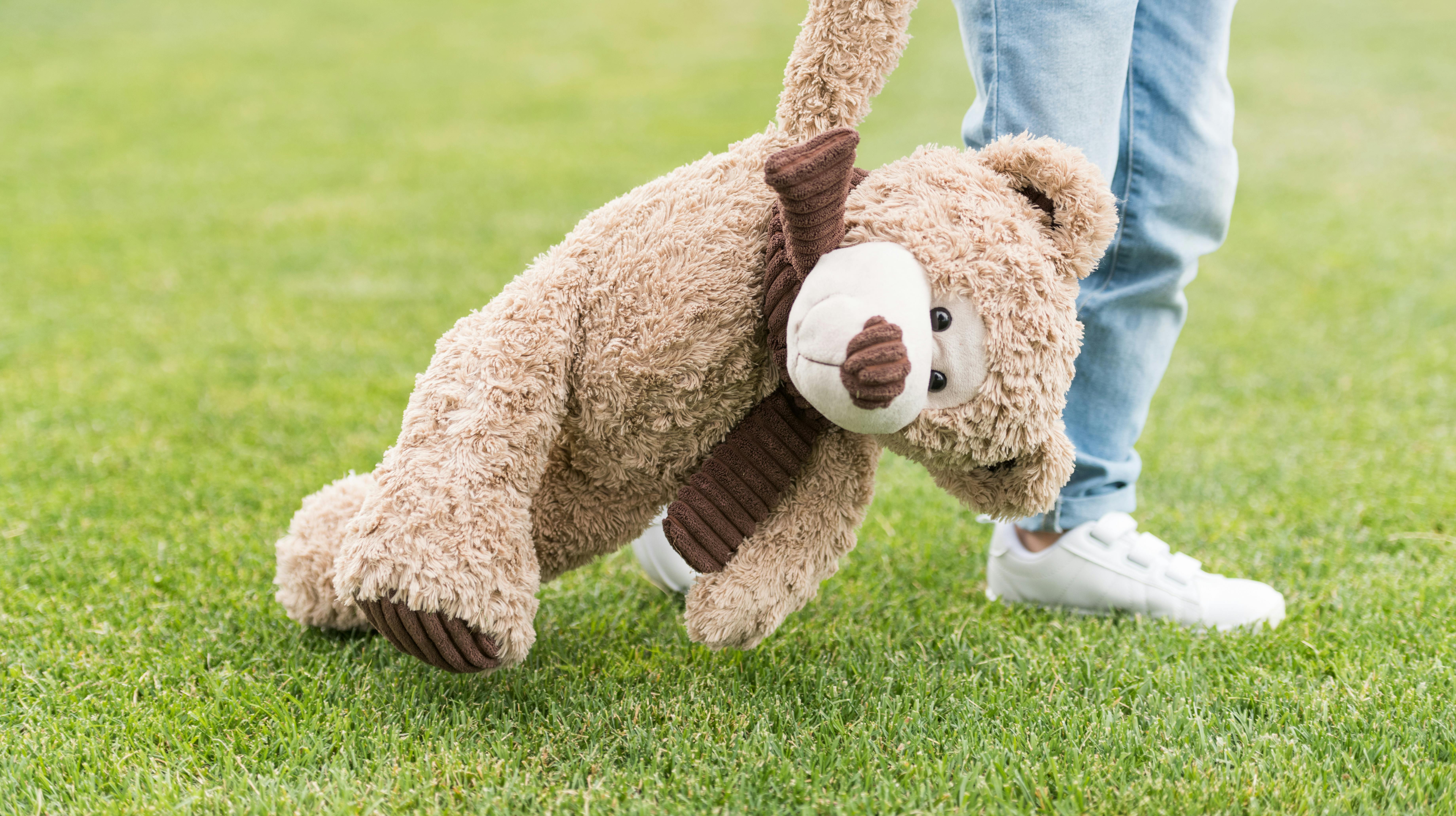 cropped shot of child holding teddy bear while standing on green lawn