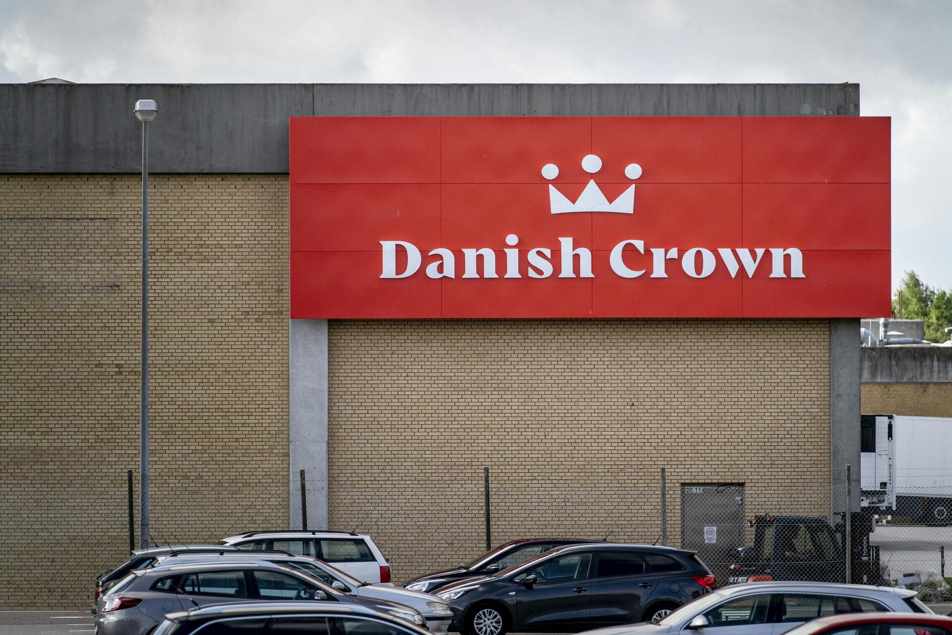 Danish Crown har valgt at lukke sit slagteri i Ringsted, hvilket betyder at 1200 stillinger nedlægges.