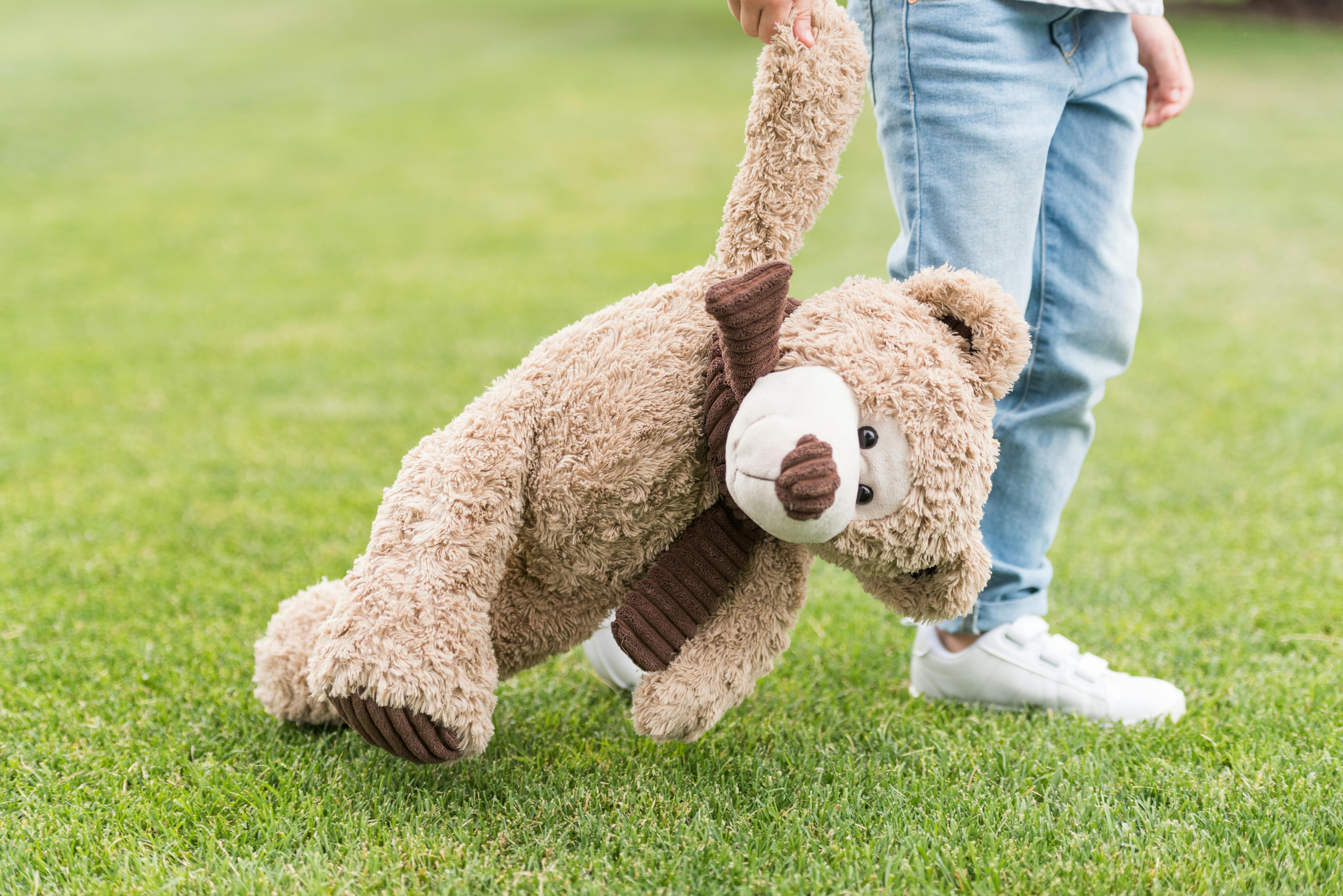 cropped shot of child holding teddy bear while standing on green lawn