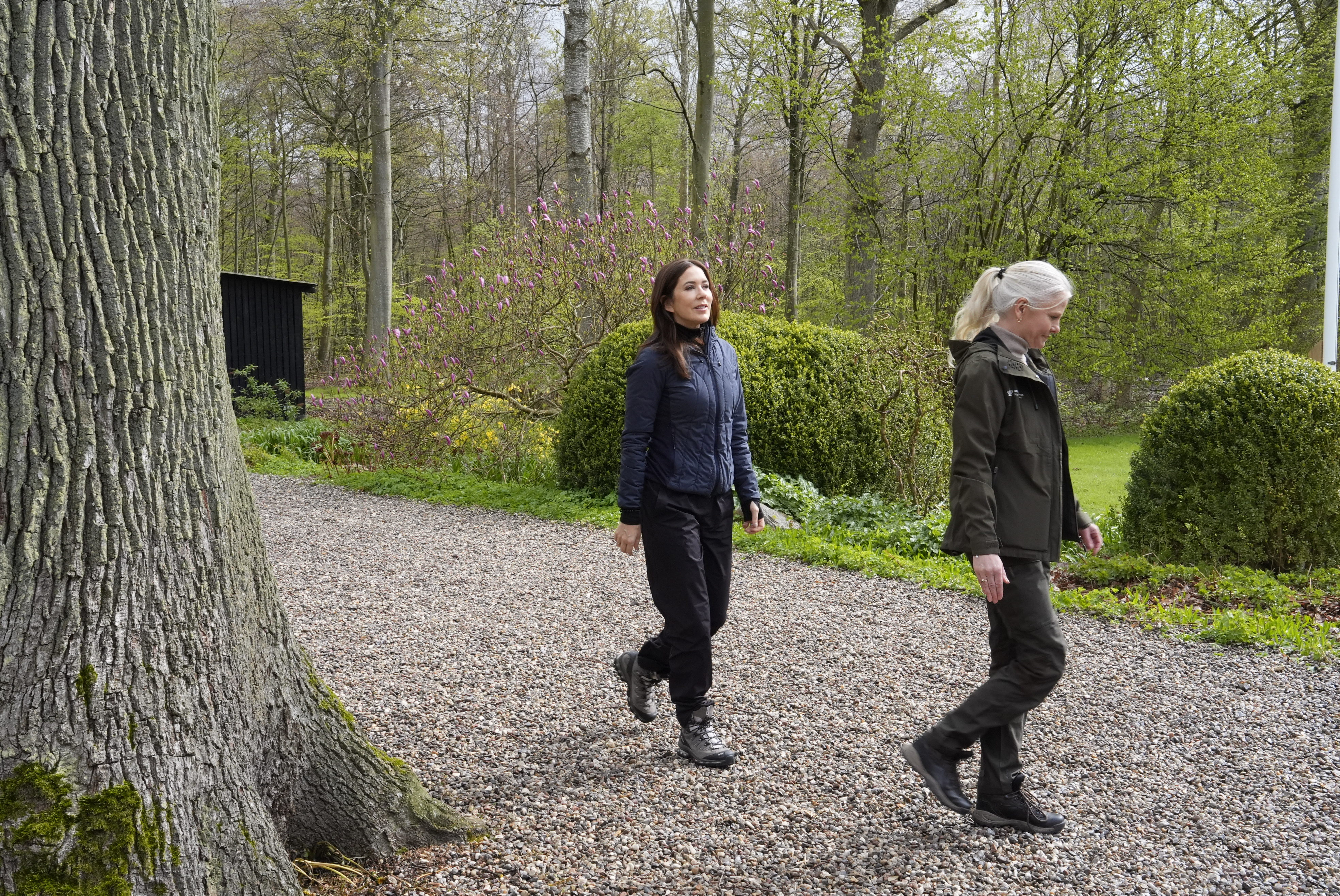 Dronning Mary indvier en ny vandrerute i Hannenov Skov på Falster. 
