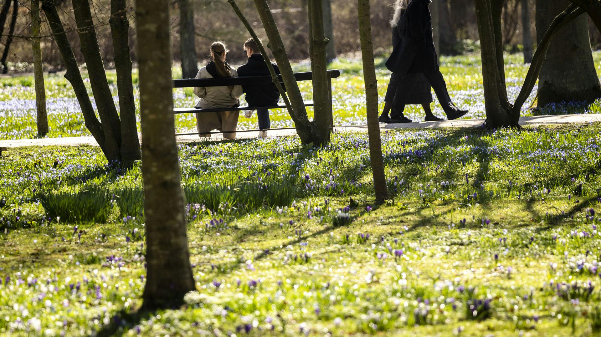 Solskin og  op til 18 grader, er hvad der venter danskerne i weekenden. 