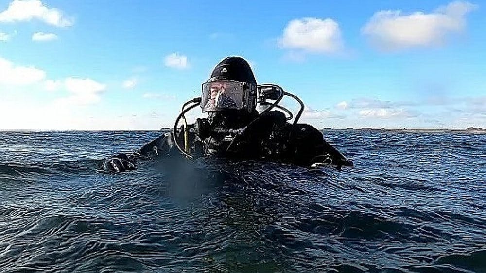 Natomolen ved Ebeltoft Vig er fjernet, og med den er også en masse dyreliv væk.