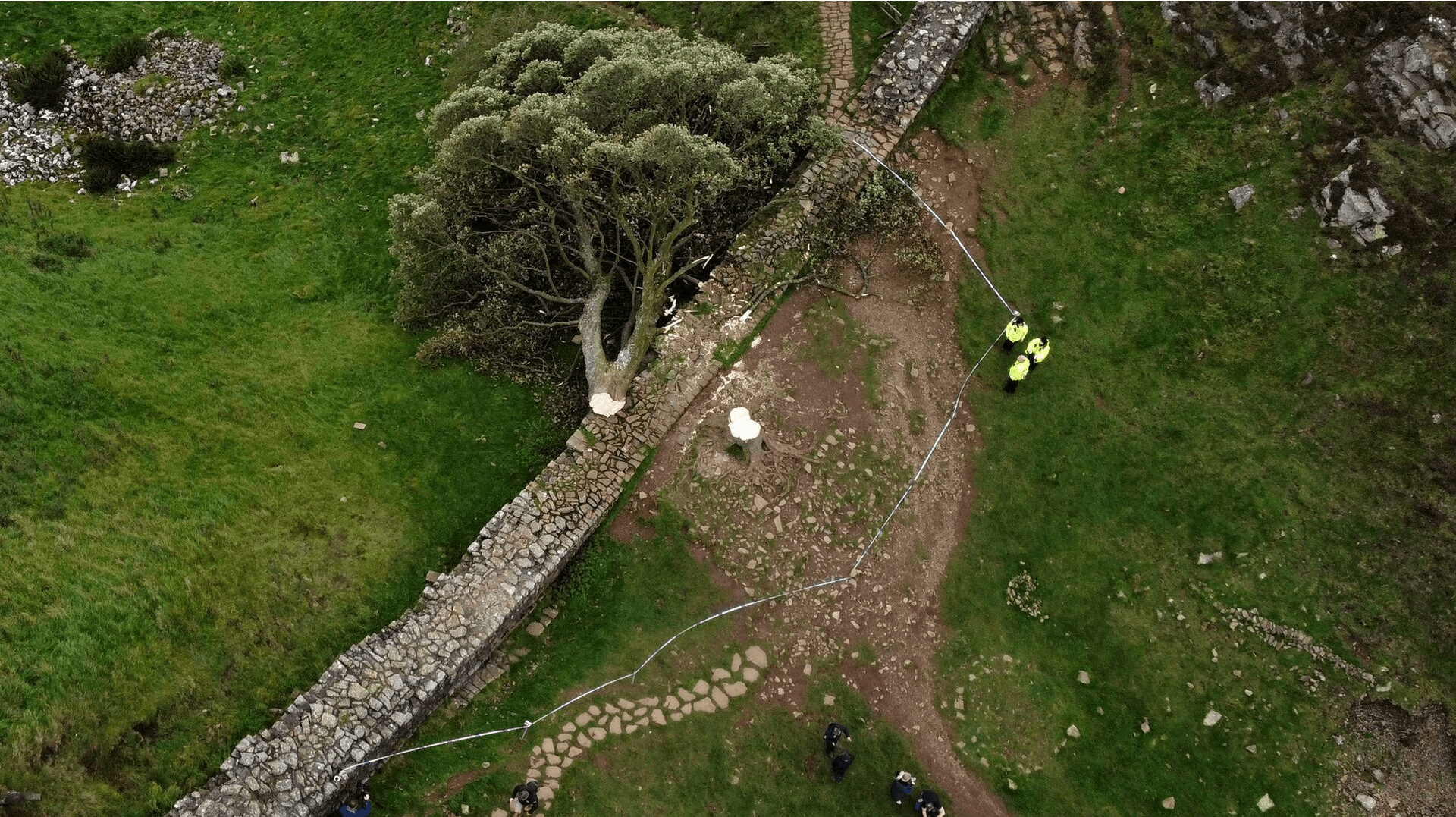 Politiet har tiltalt to mænd for at have fældet det ikoniske Sycamore Gap-træ i september sidste år.