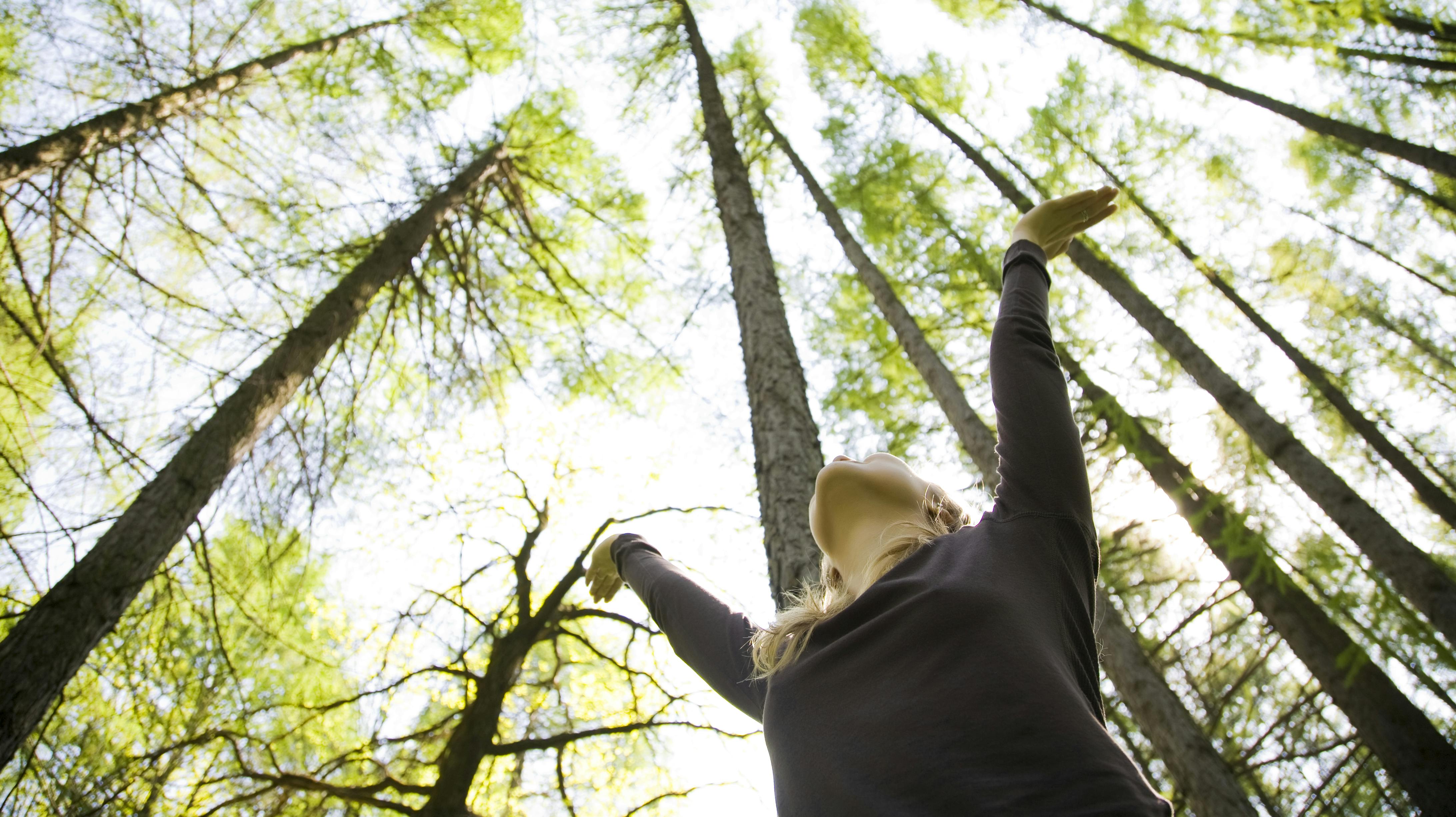 Du kender sikkert følelsen: kom frem, sol. Kom frem....