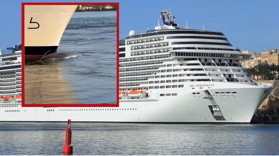 Lørdag ankom et krydstogtskibet MSC Meraviglia til kajen i New York – med noget ganske tragisk ved sin bov.